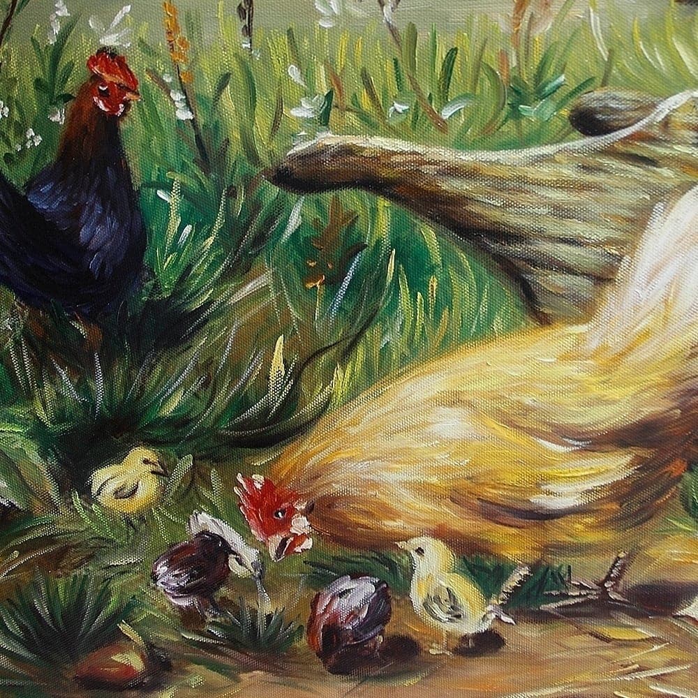 Rooster and Hens on the Farm image 4