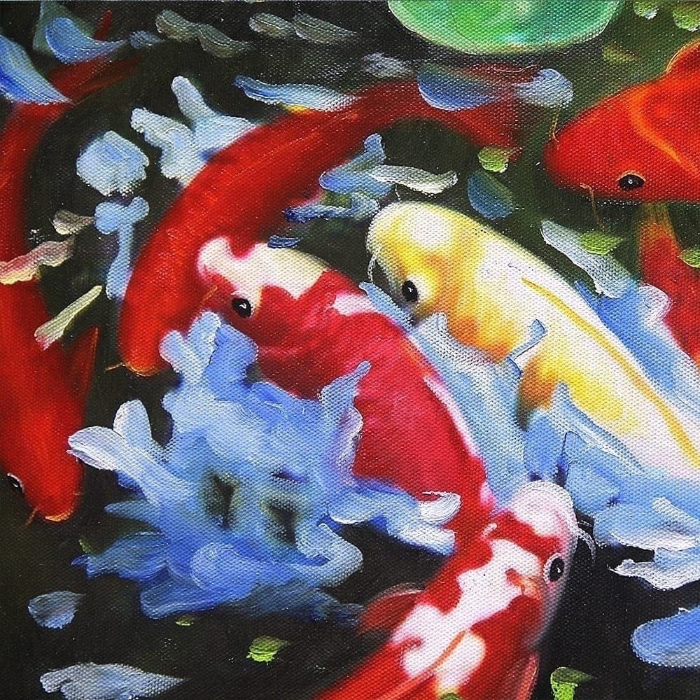 Koi Fish Under Lily Pads in Tranquil Garden Pond image 3