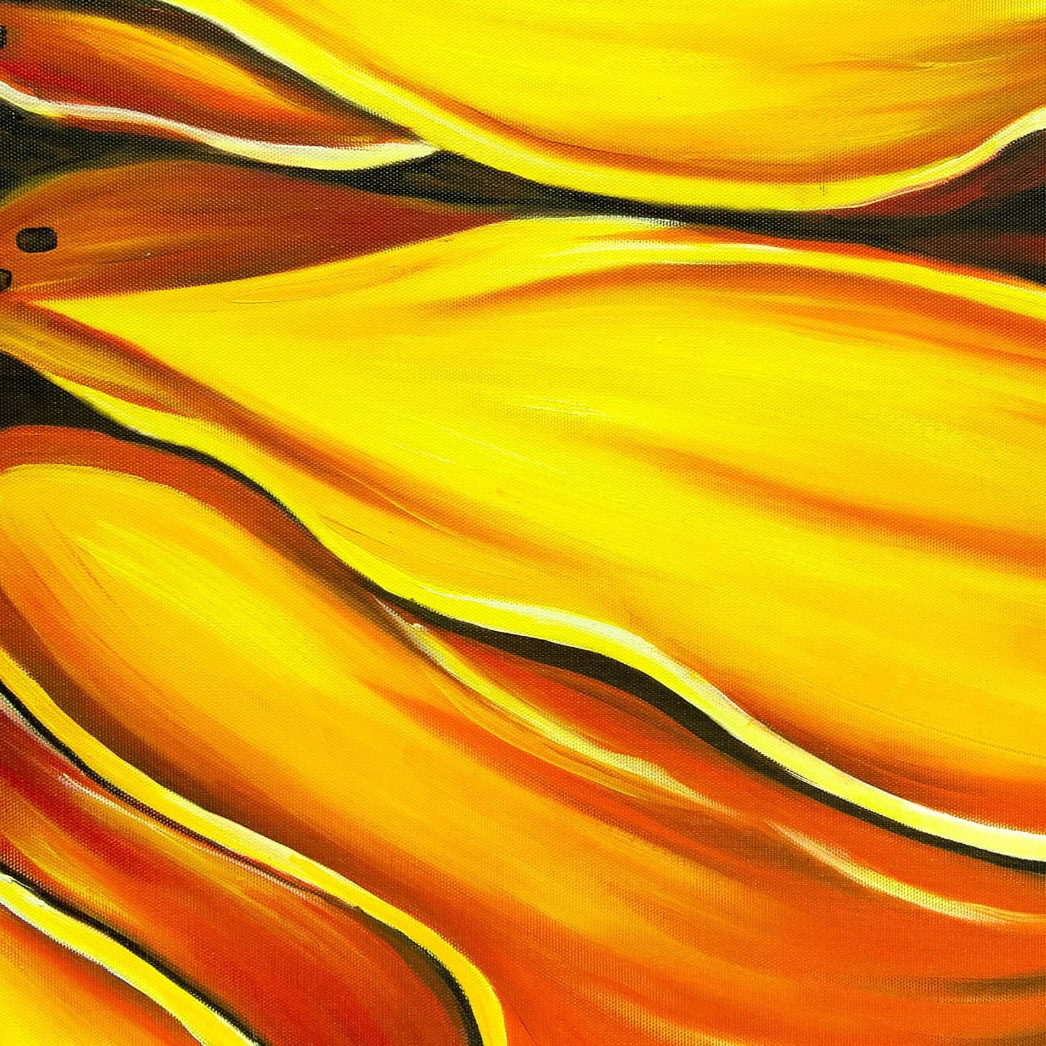 Sunflower Close-Up in Fiery Tones image 4