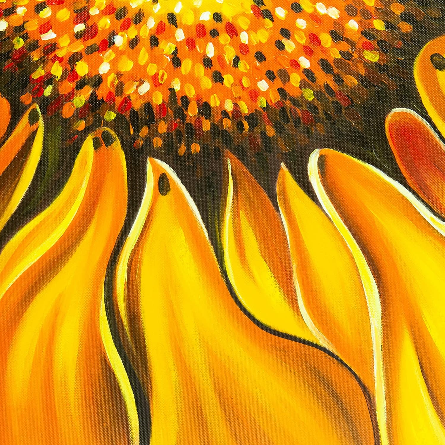 Sunflower Close-Up in Fiery Tones image 6
