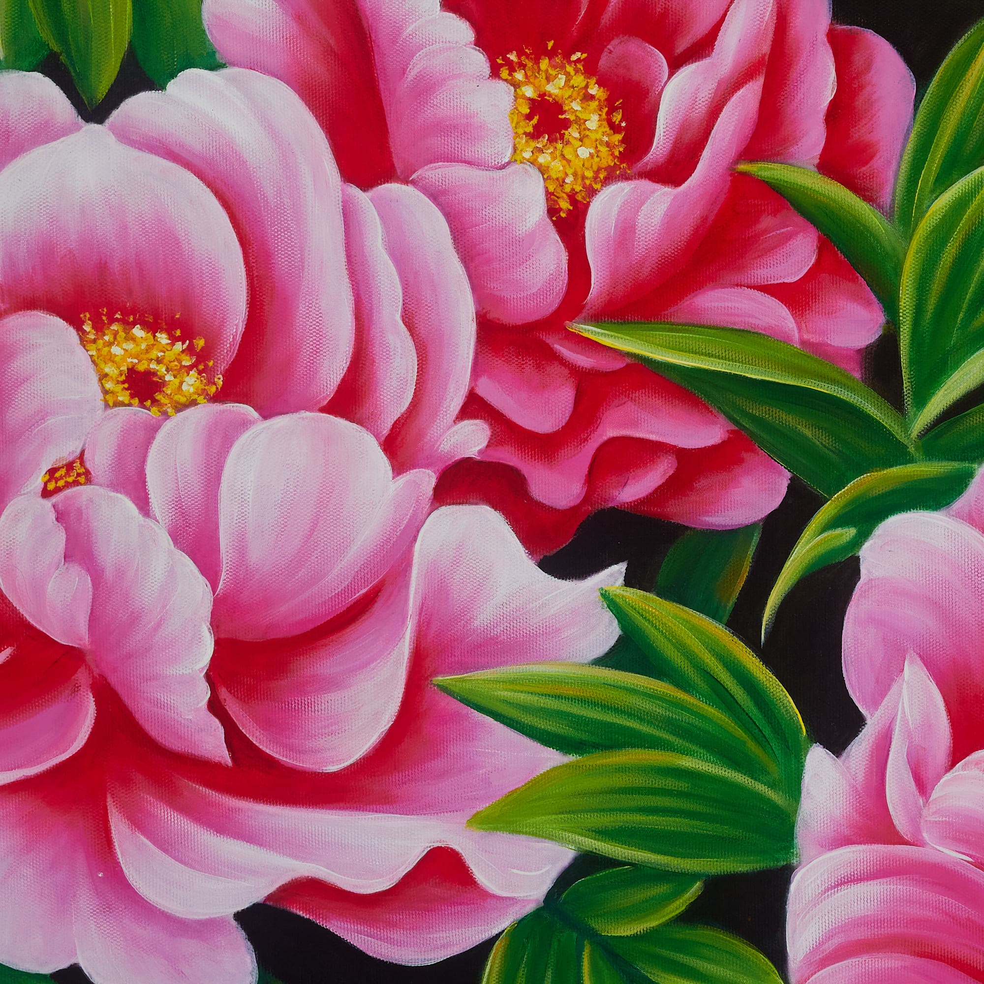 Deep Pink Peonies on Dark Background image 5