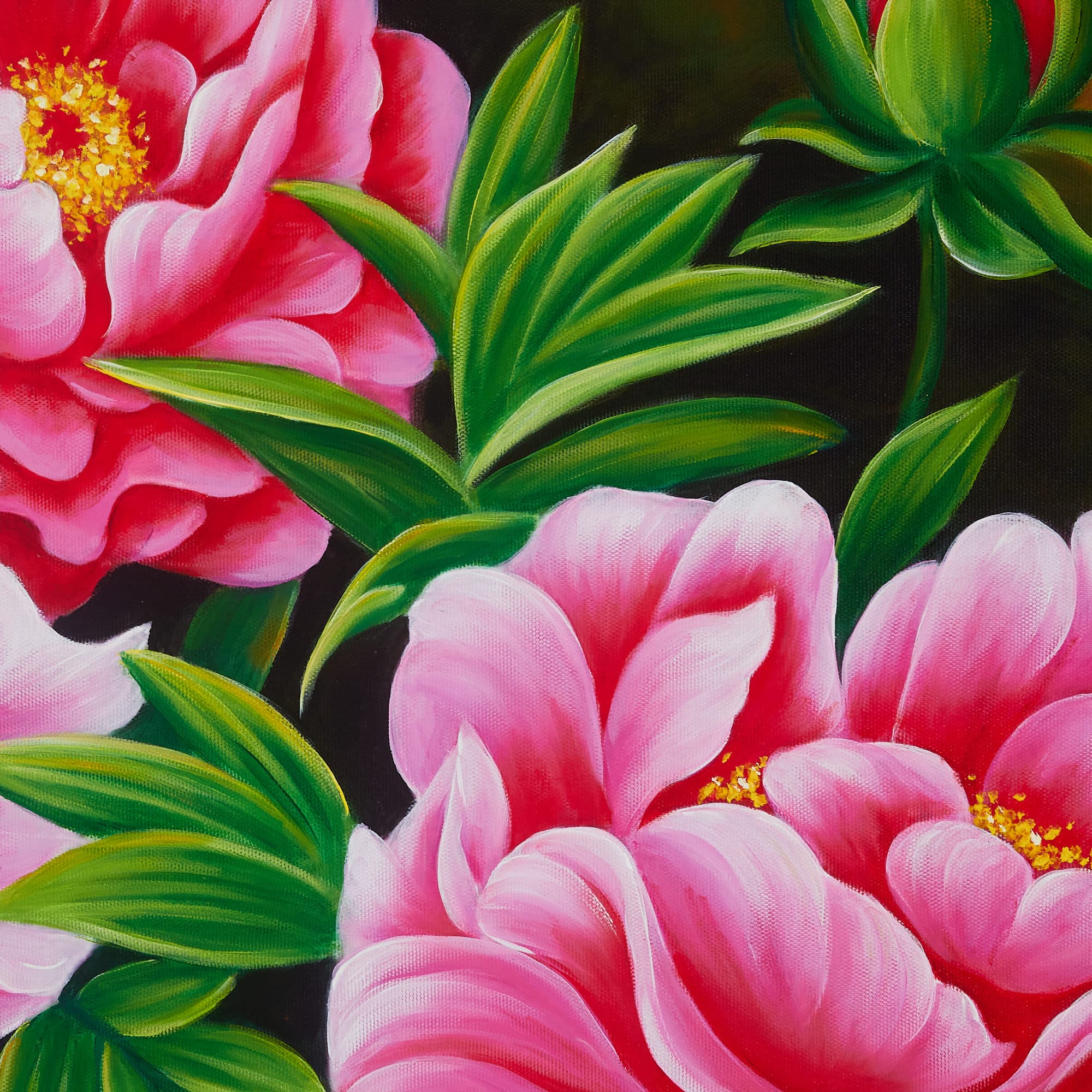 Deep Pink Peonies on Dark Background image 6