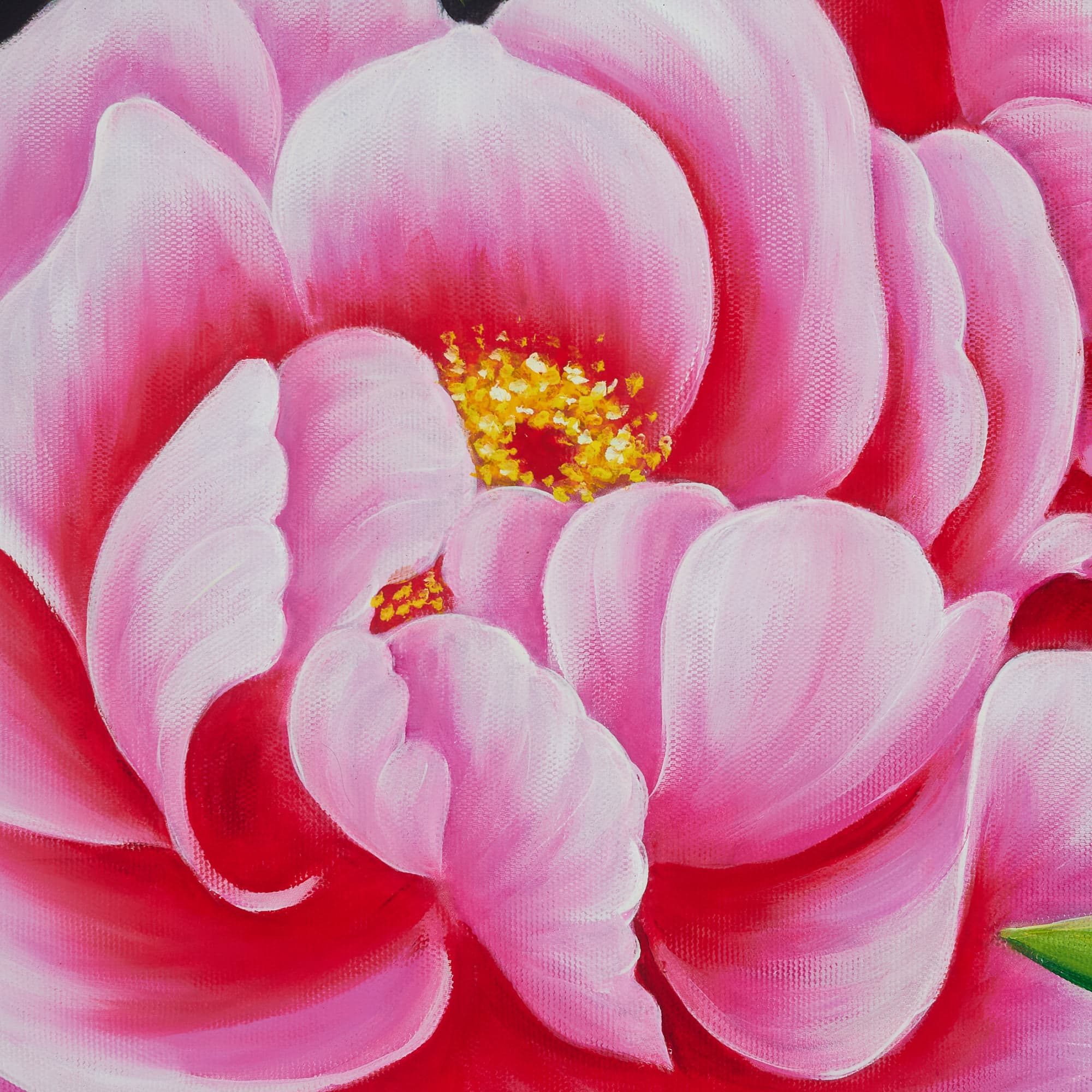 Deep Pink Peonies on Dark Background image 3