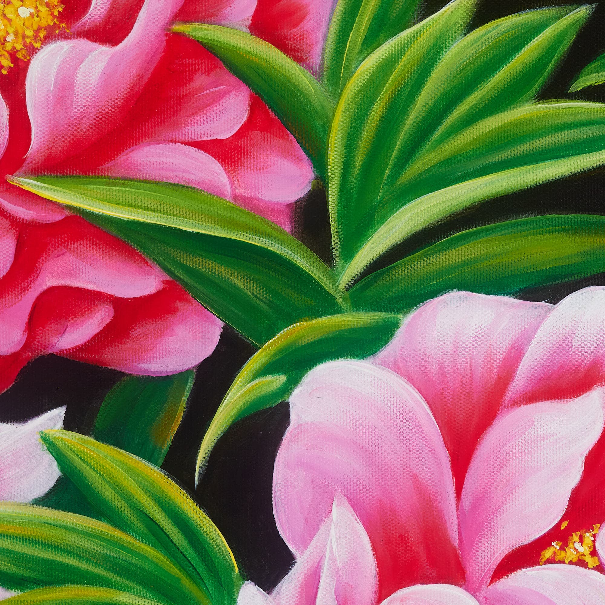 Deep Pink Peonies on Dark Background image 4