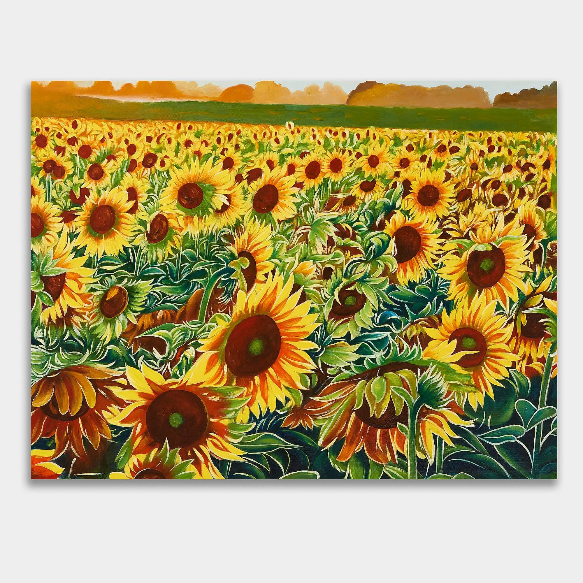Golden Sunflower Field at Sunset