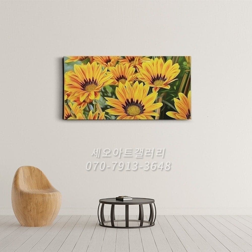 Yellow Gazania Flowers in Bloom image 10