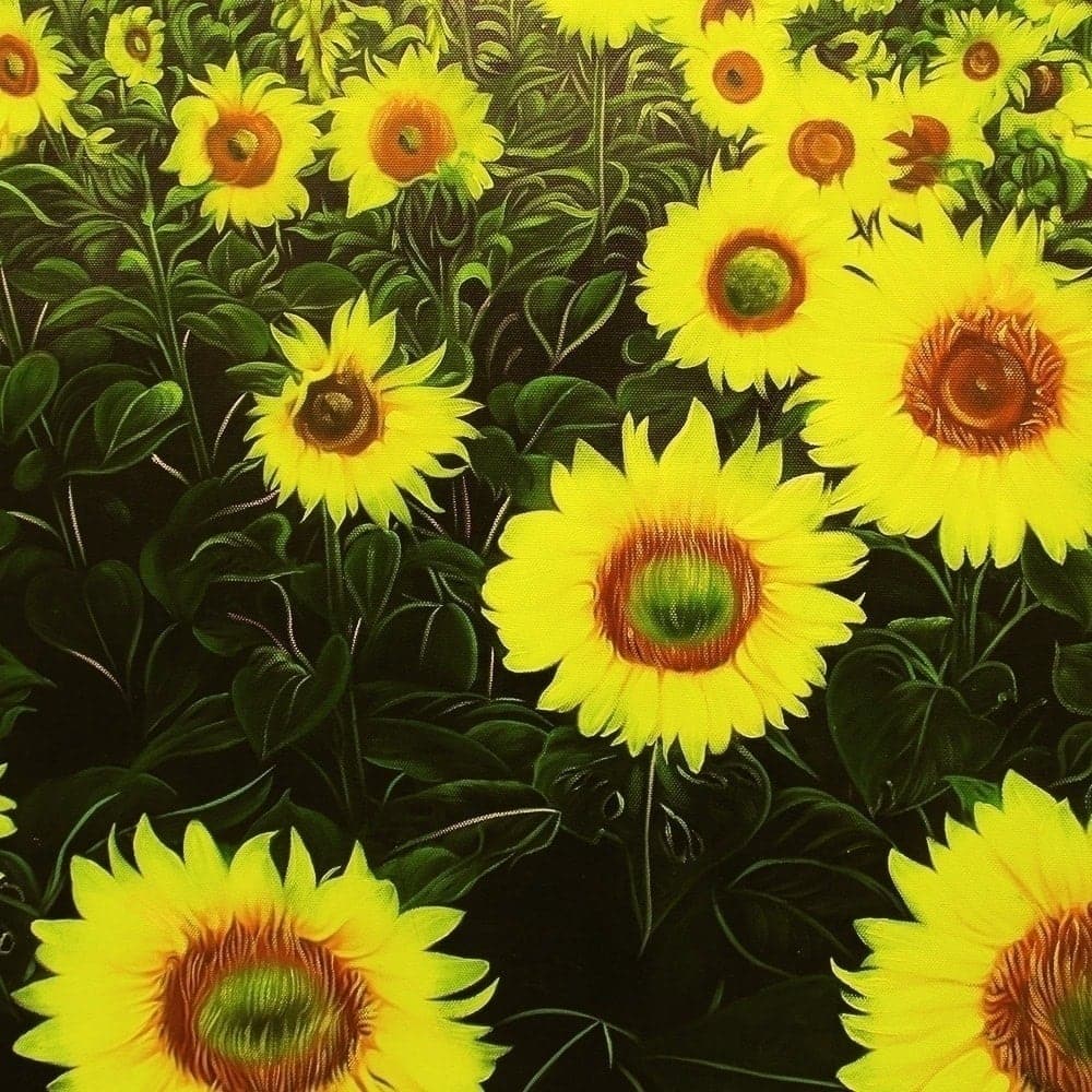 Endless Sunflower Field image 5