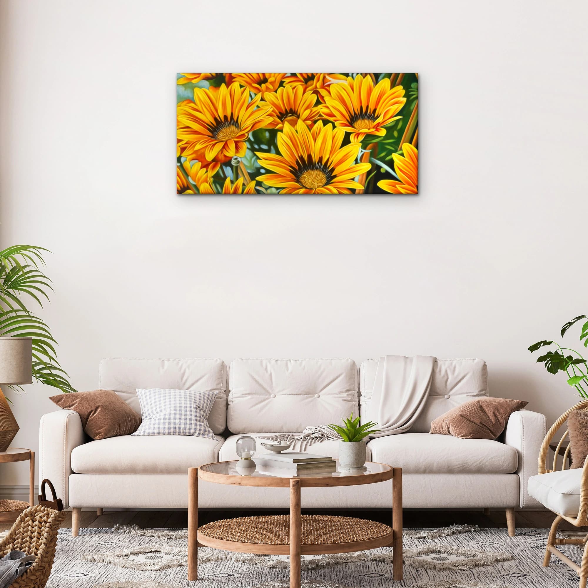 Yellow Gazania Flowers in Bloom image 5