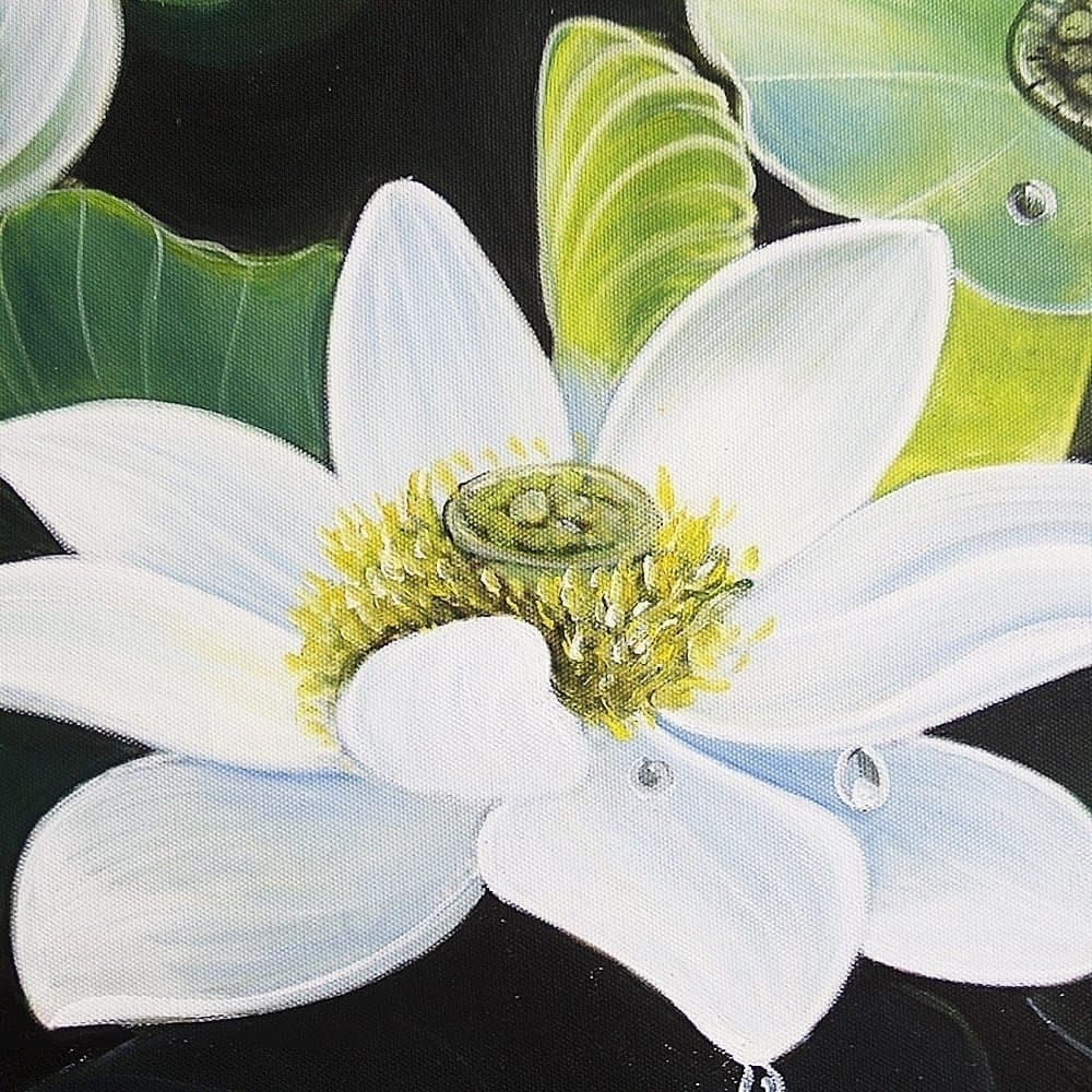 White Lotus Flowers with Raindrops image 3