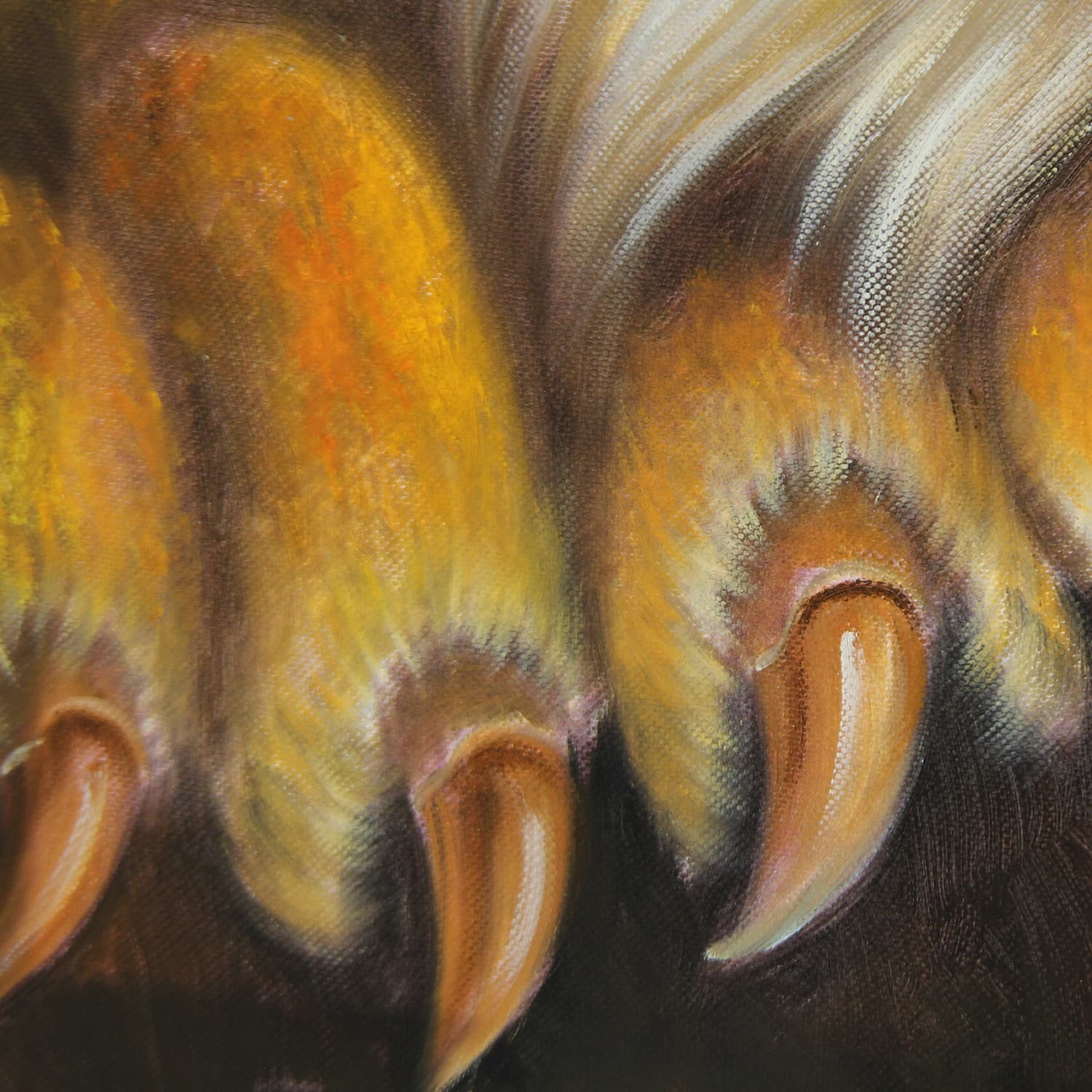 Roaring Tiger Close-Up image 4