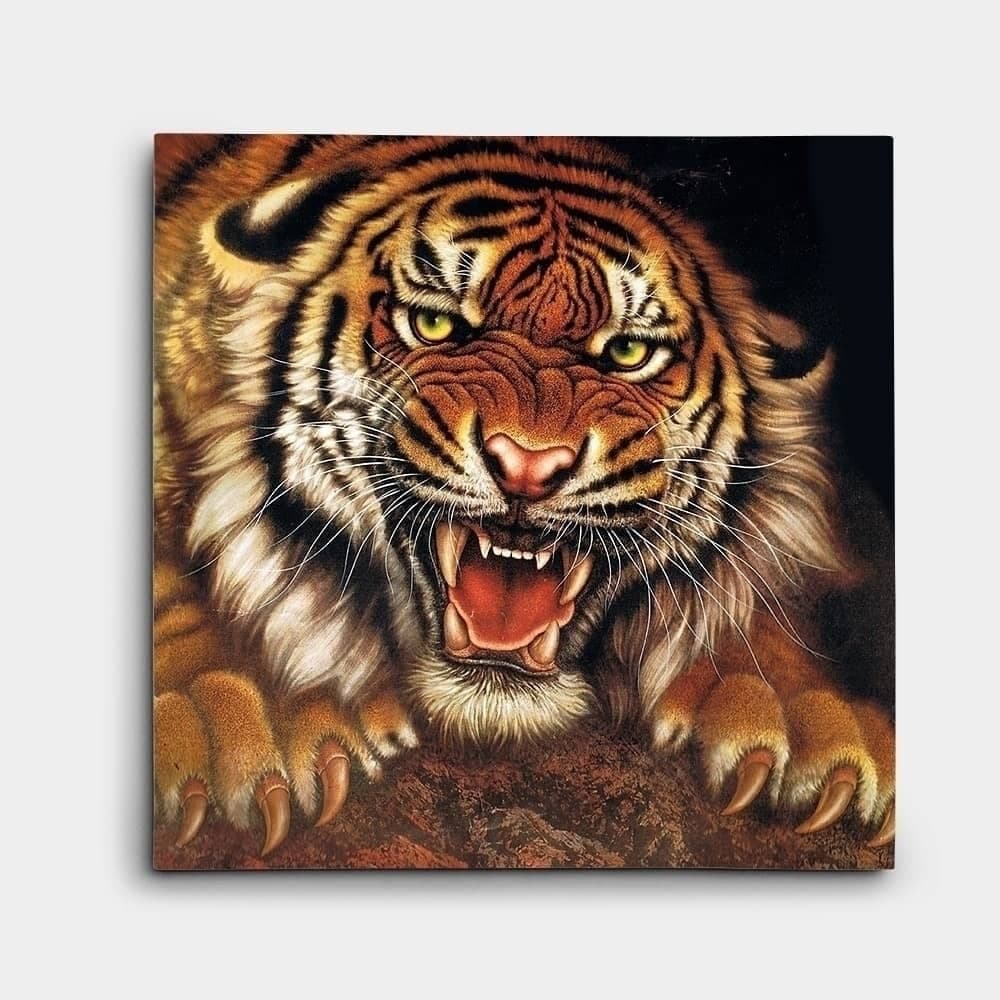 Roaring Tiger Close-Up
