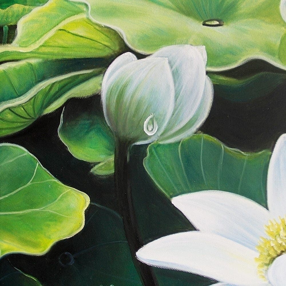 White Lotus Flowers with Raindrops image 4