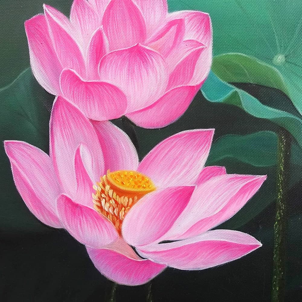 Pink Lotus Pond in Full Bloom image 5