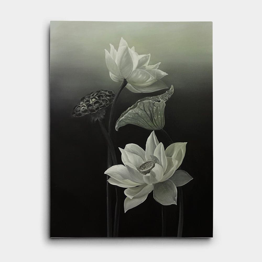 White Lotus with Seed Pod on Dark Background