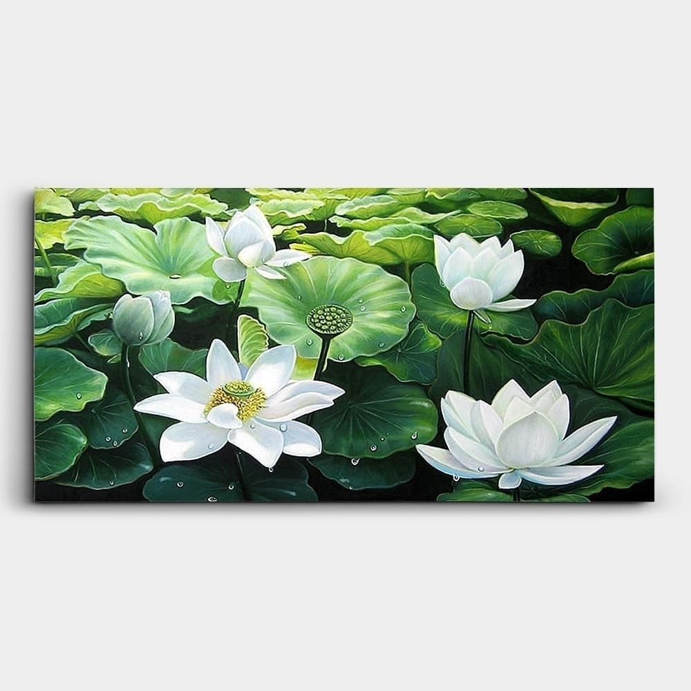 White Lotus Flowers with Raindrops