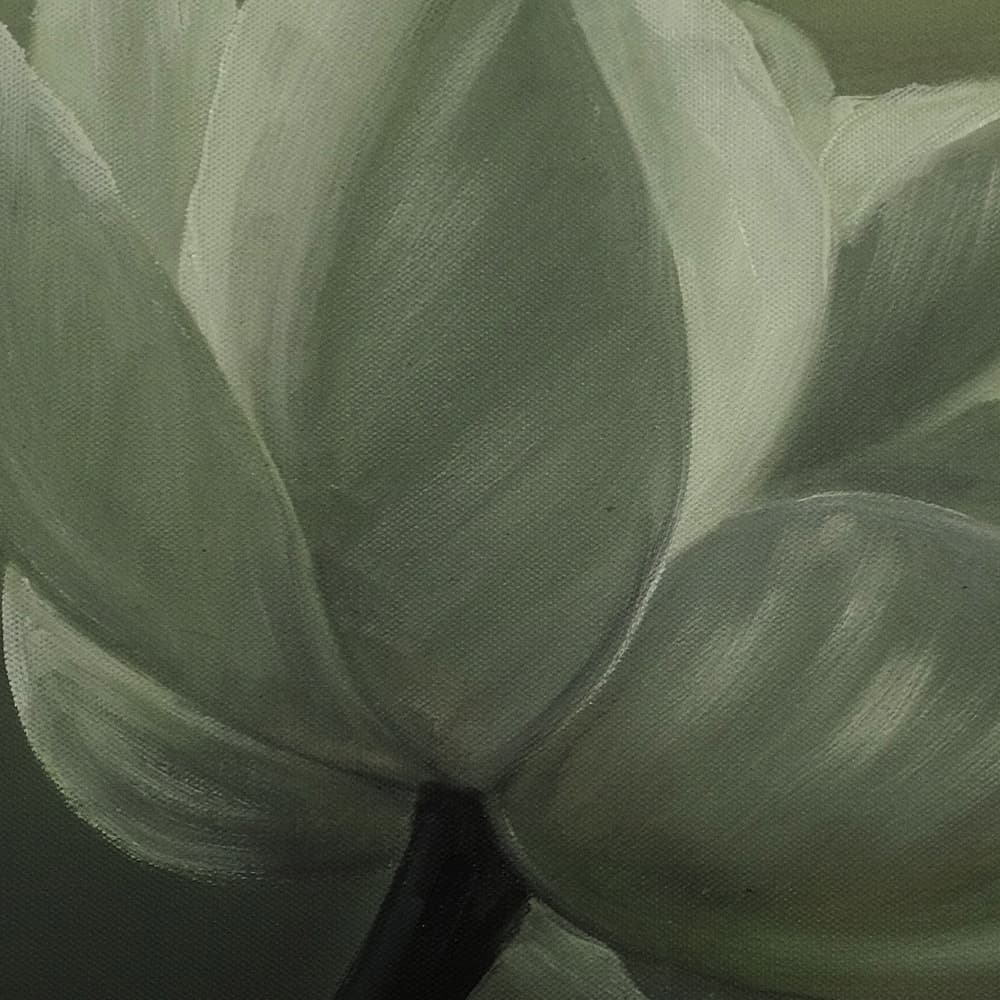 White Lotus with Seed Pod on Dark Background image 5