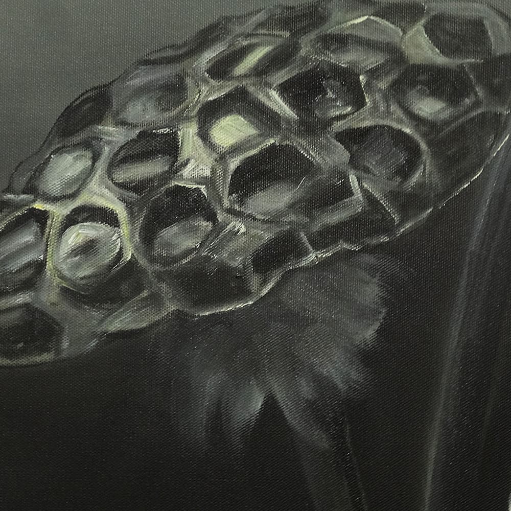 White Lotus with Seed Pod on Dark Background image 3