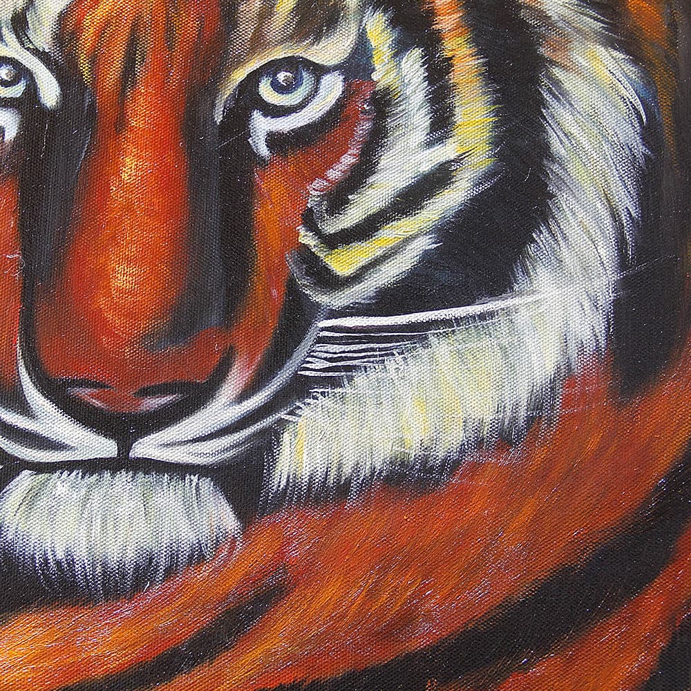 Tiger at Sunset on the Cliffs image 3
