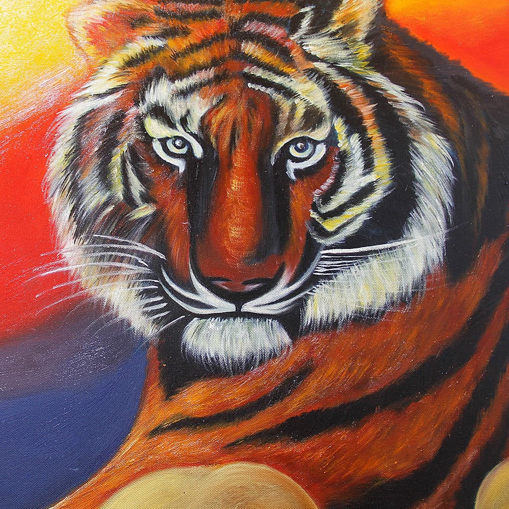 Tiger at Sunset on the Cliffs image 4