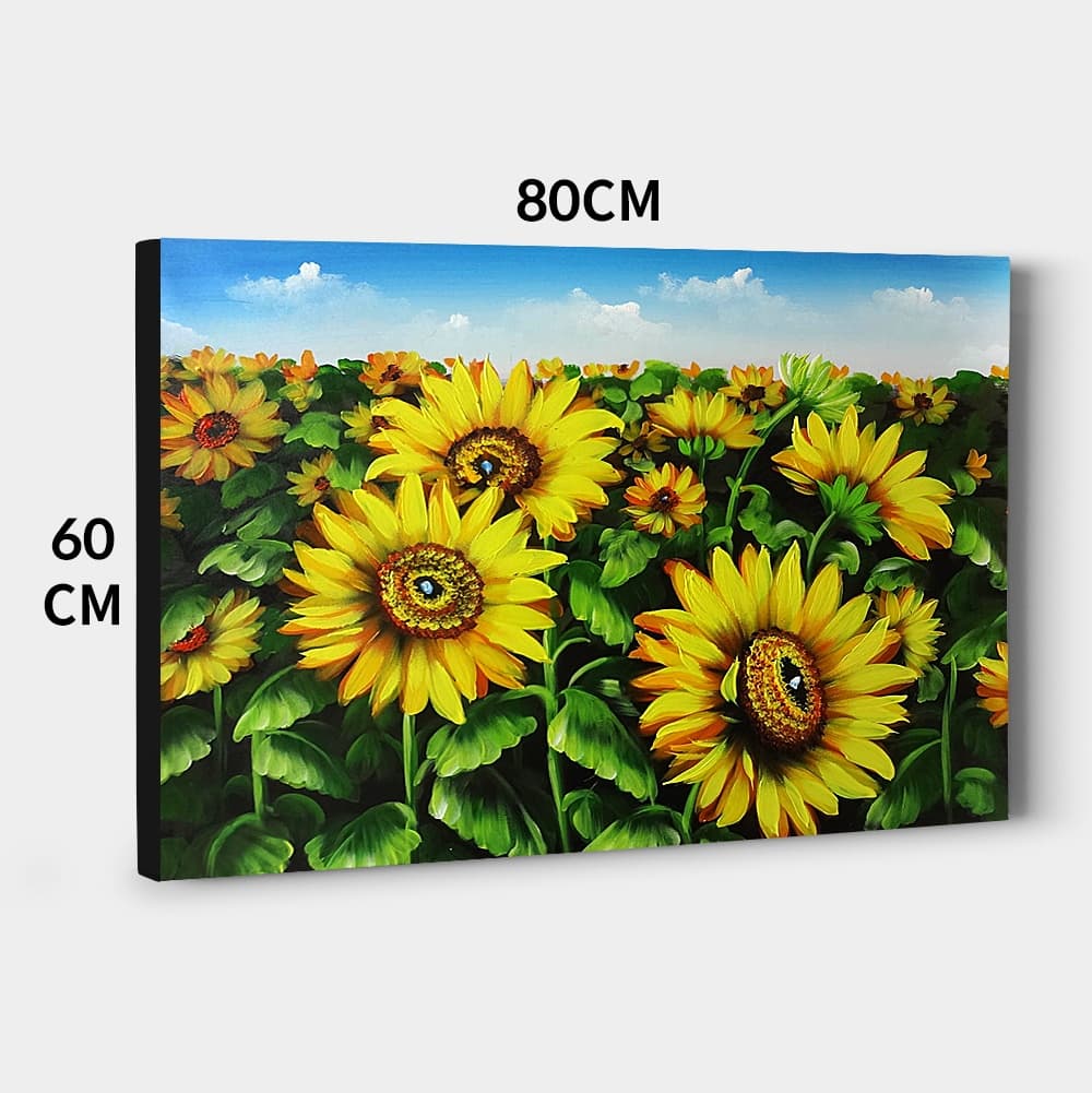 Sunflower Field Under Blue Sky image 6