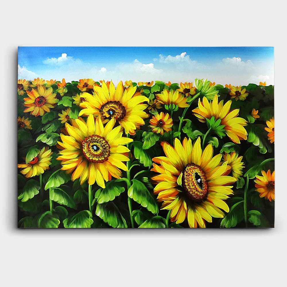 Sunflower Field Under Blue Sky