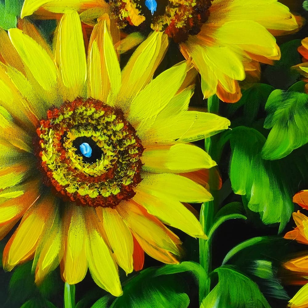 Sunflower Field Under Blue Sky image 5