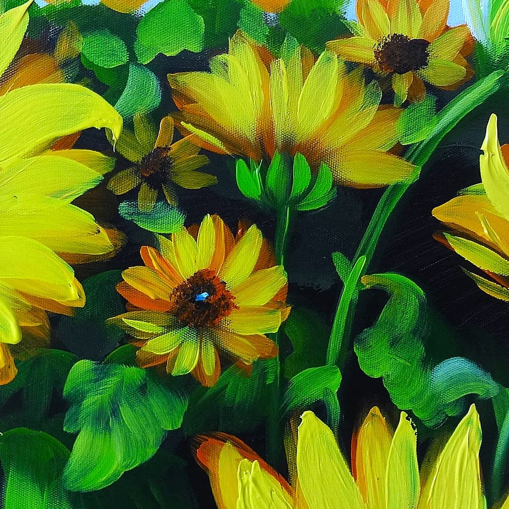 Sunflower Field Under Blue Sky image 4