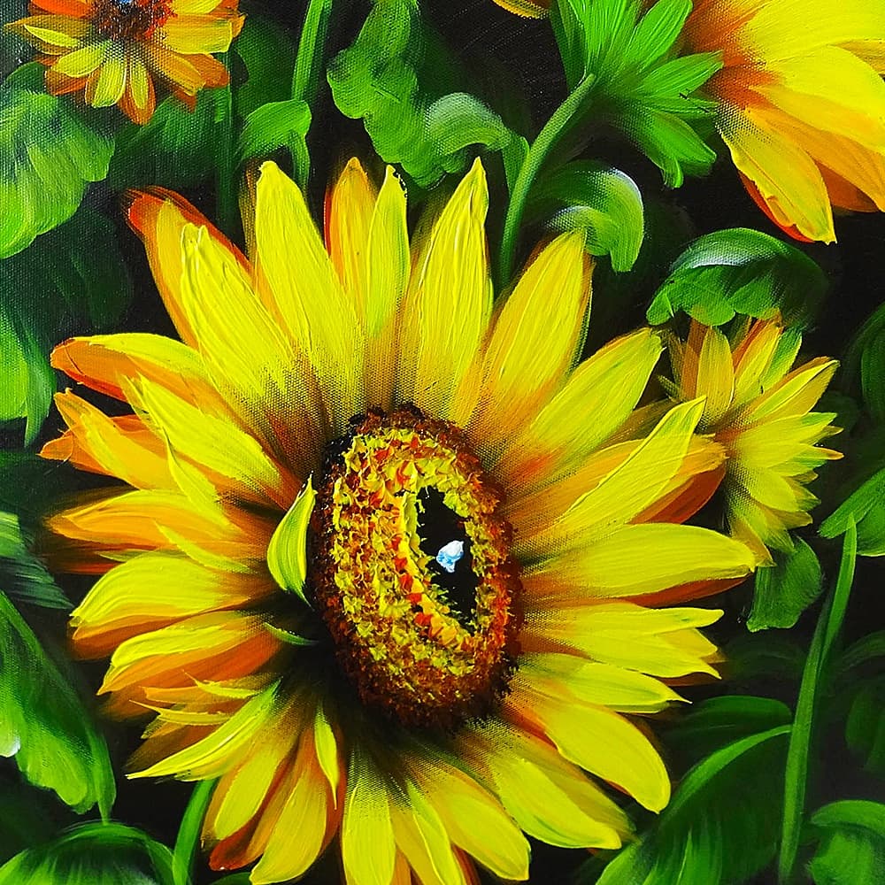 Sunflower Field Under Blue Sky image 3