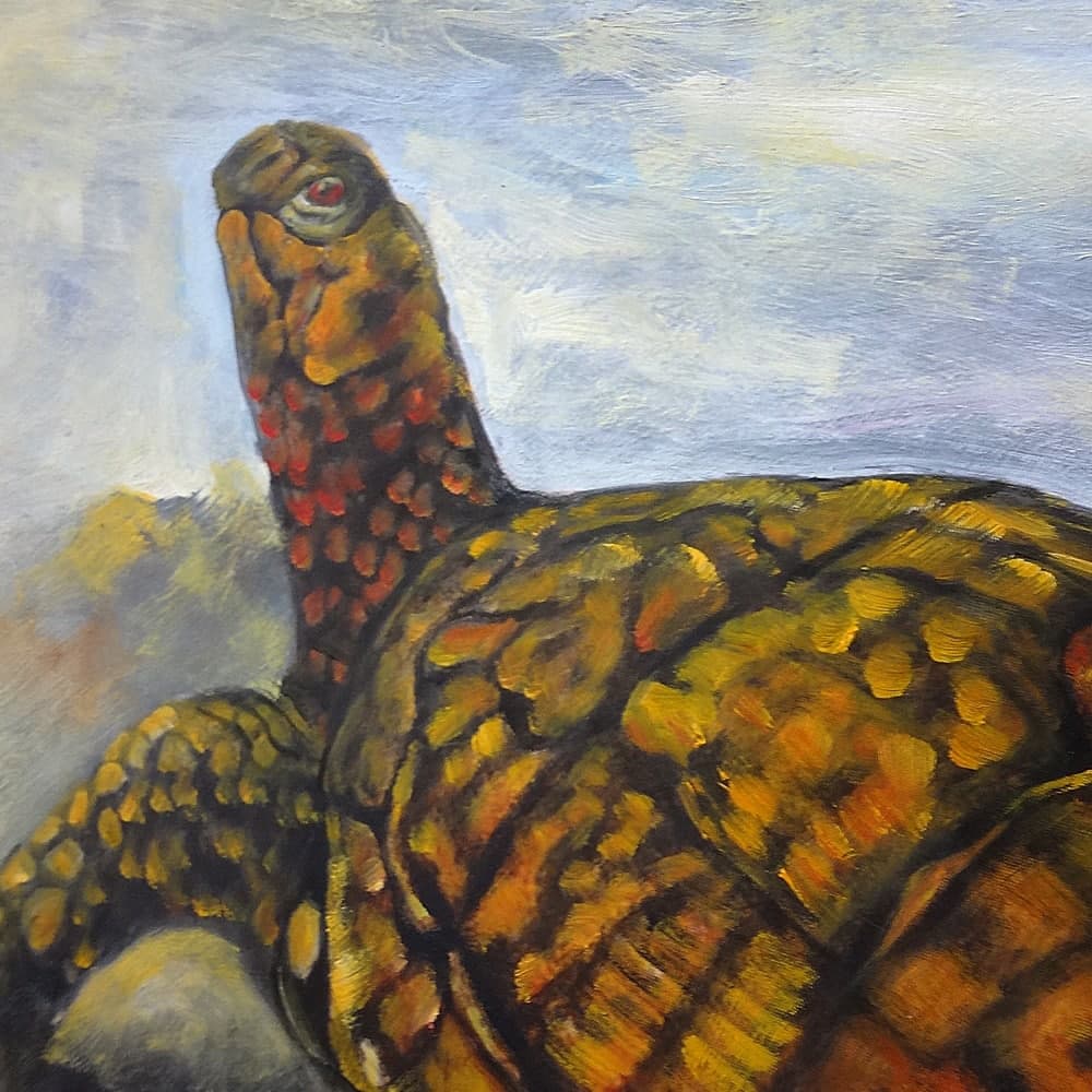 Turtle Oil Painting image 3