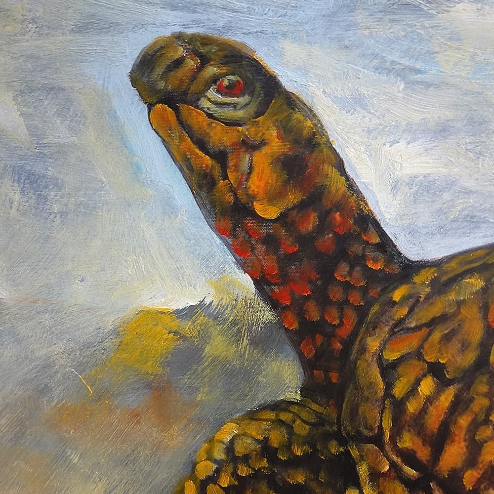 Turtle Oil Painting image 2