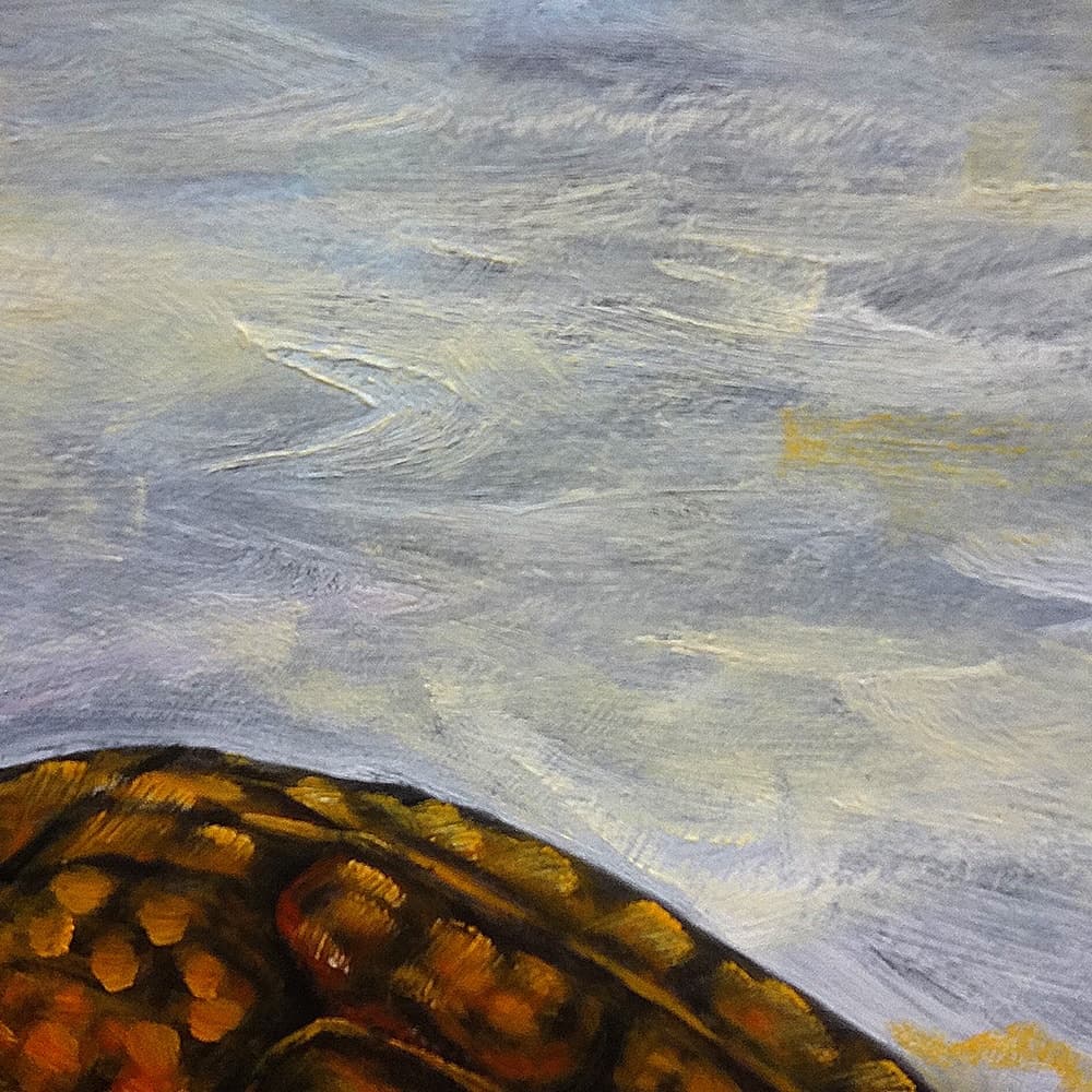 Turtle Oil Painting image 4