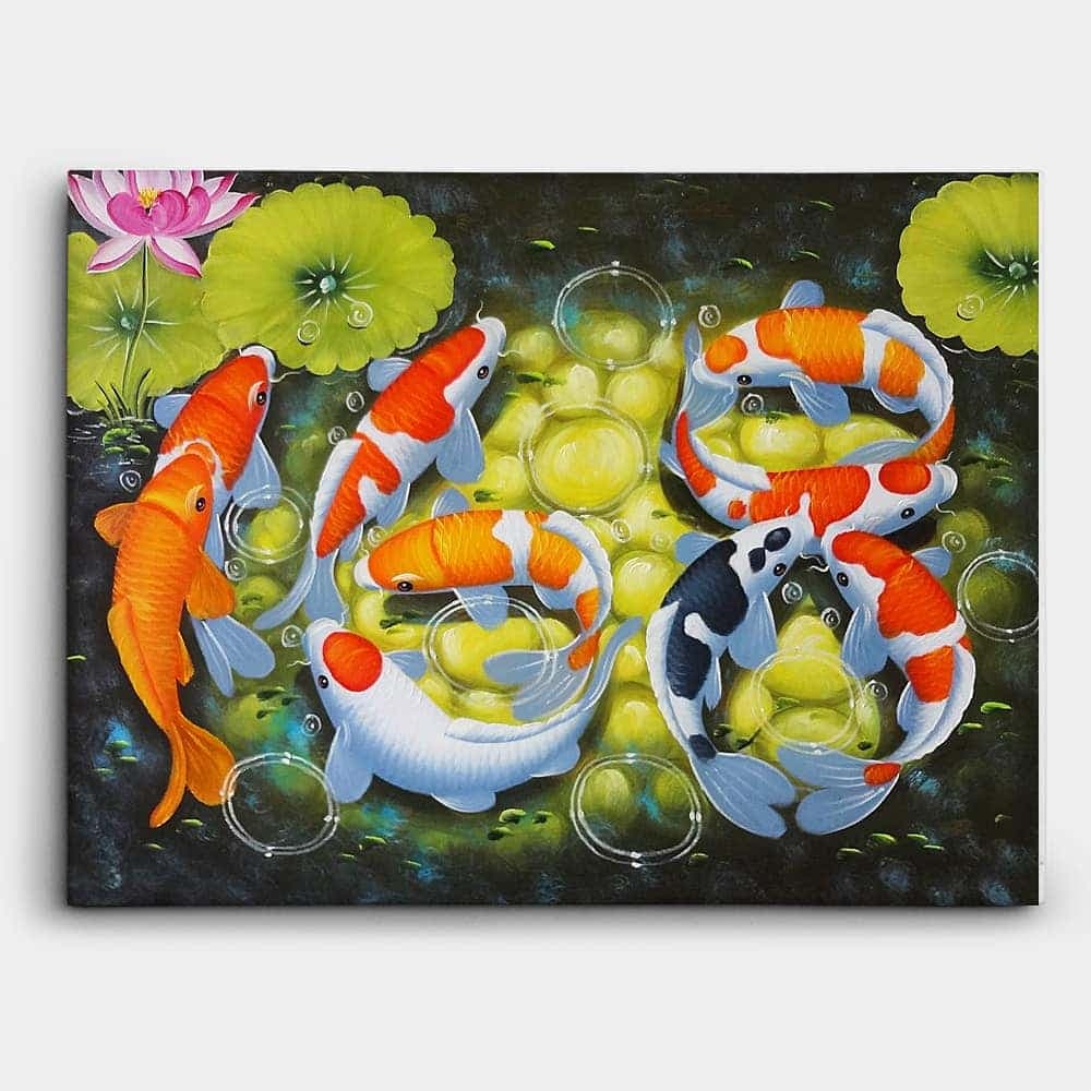 Nine Koi Fish Swimming Around Pond Stones