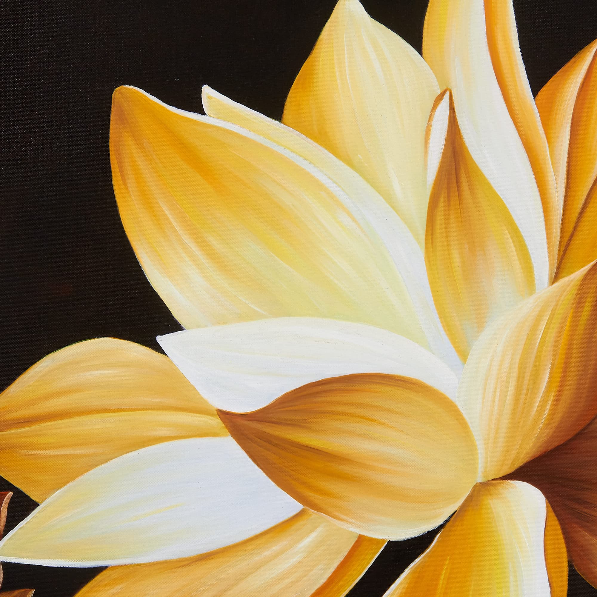 Golden Lotus Close-Up on Black Canvas image 2