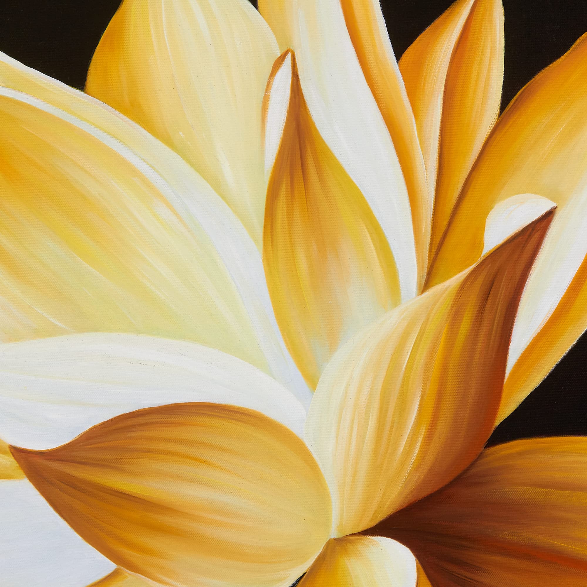 Golden Lotus Close-Up on Black Canvas image 3