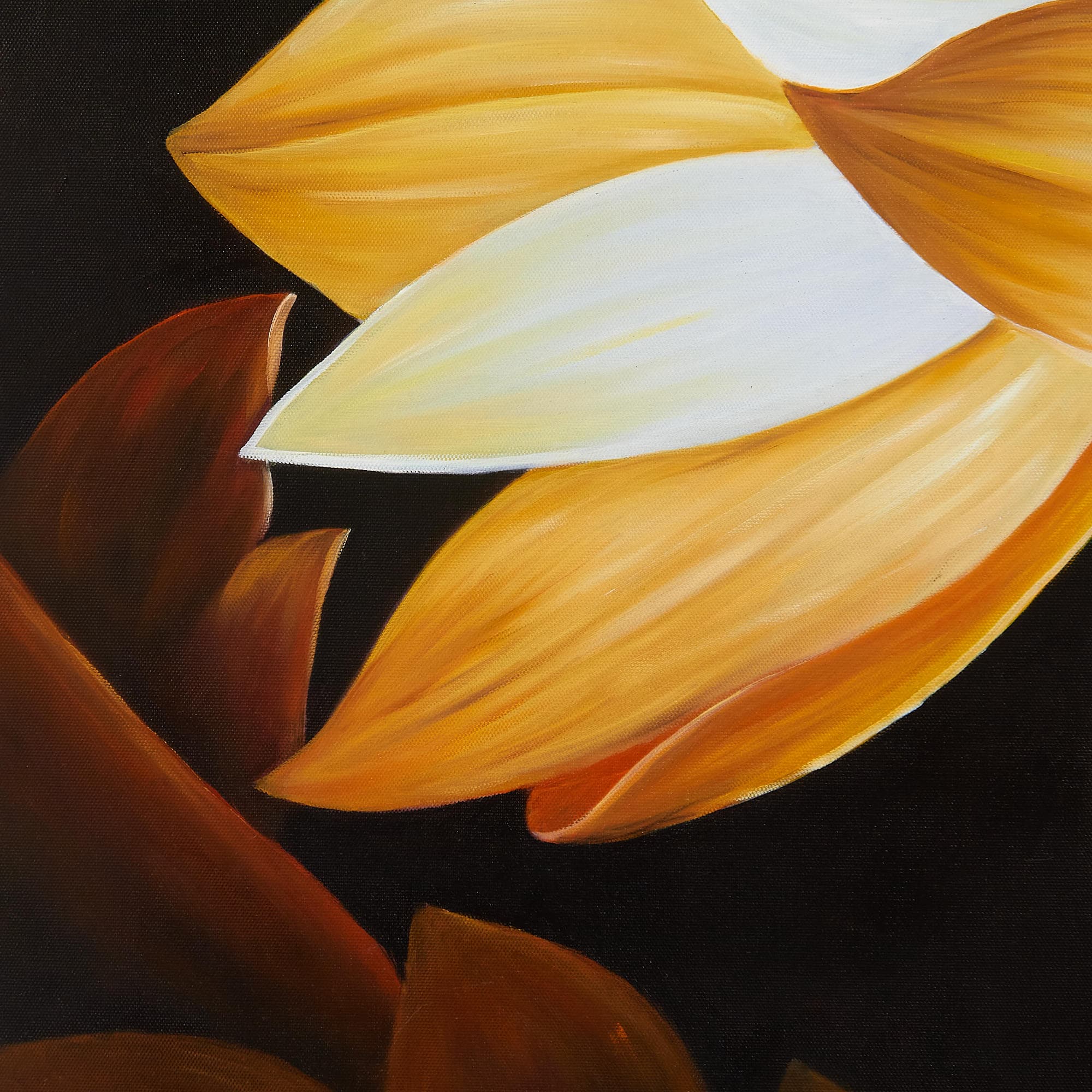 Golden Lotus Close-Up on Black Canvas image 4