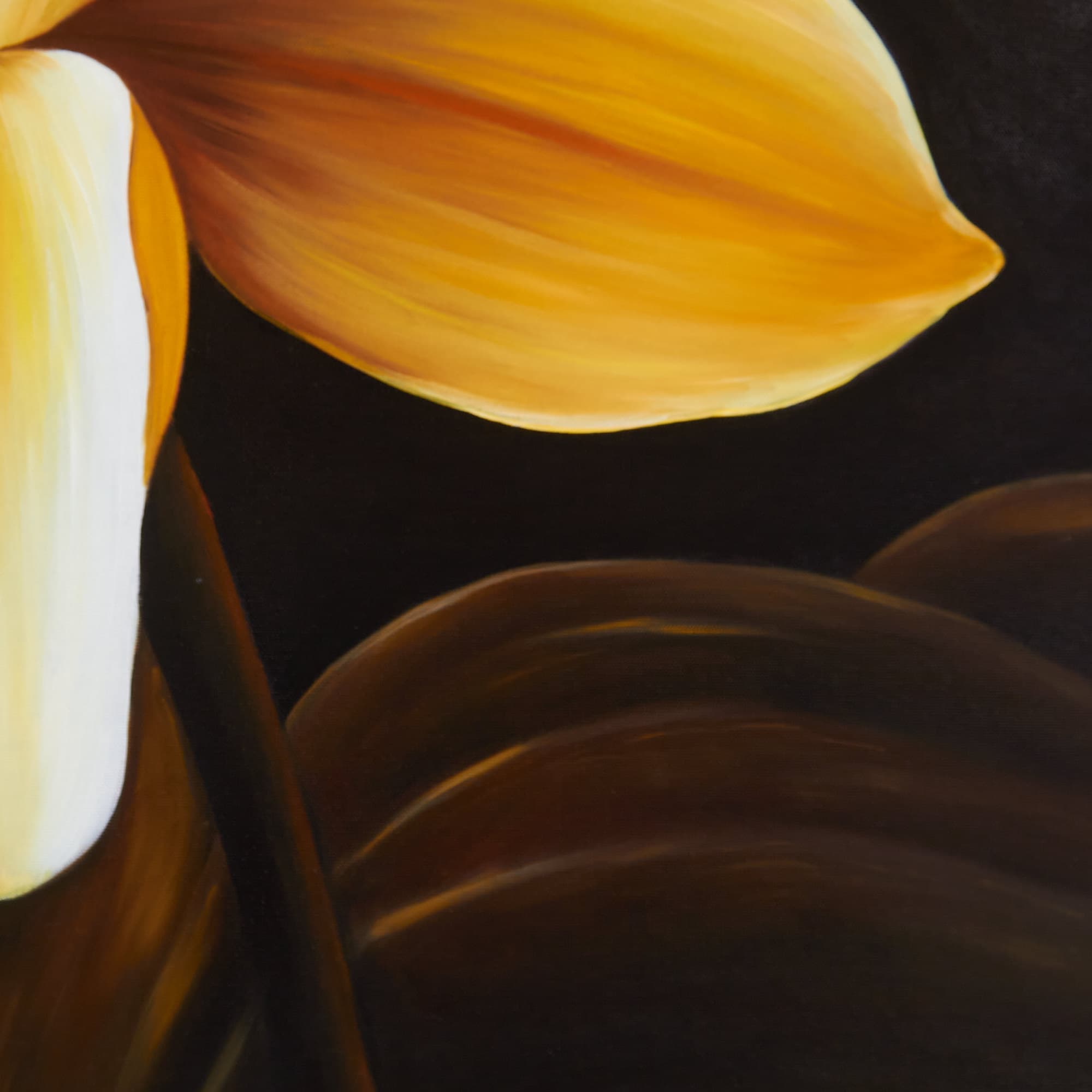 Golden Lotus Close-Up on Black Canvas image 5