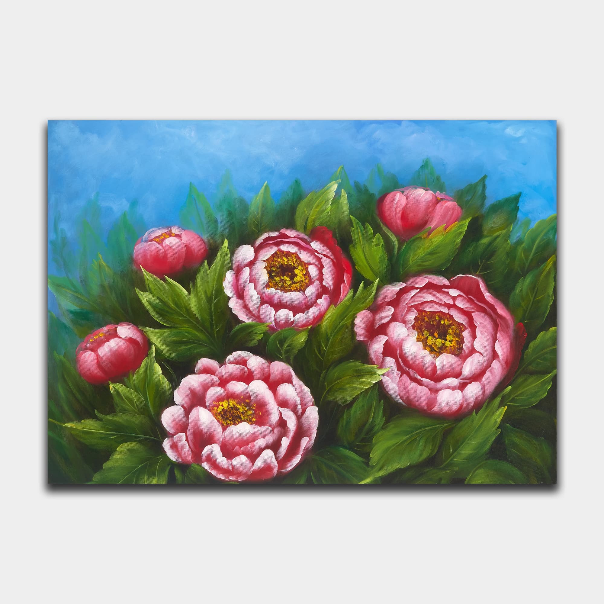 Pink Peonies Against Clear Blue Sky