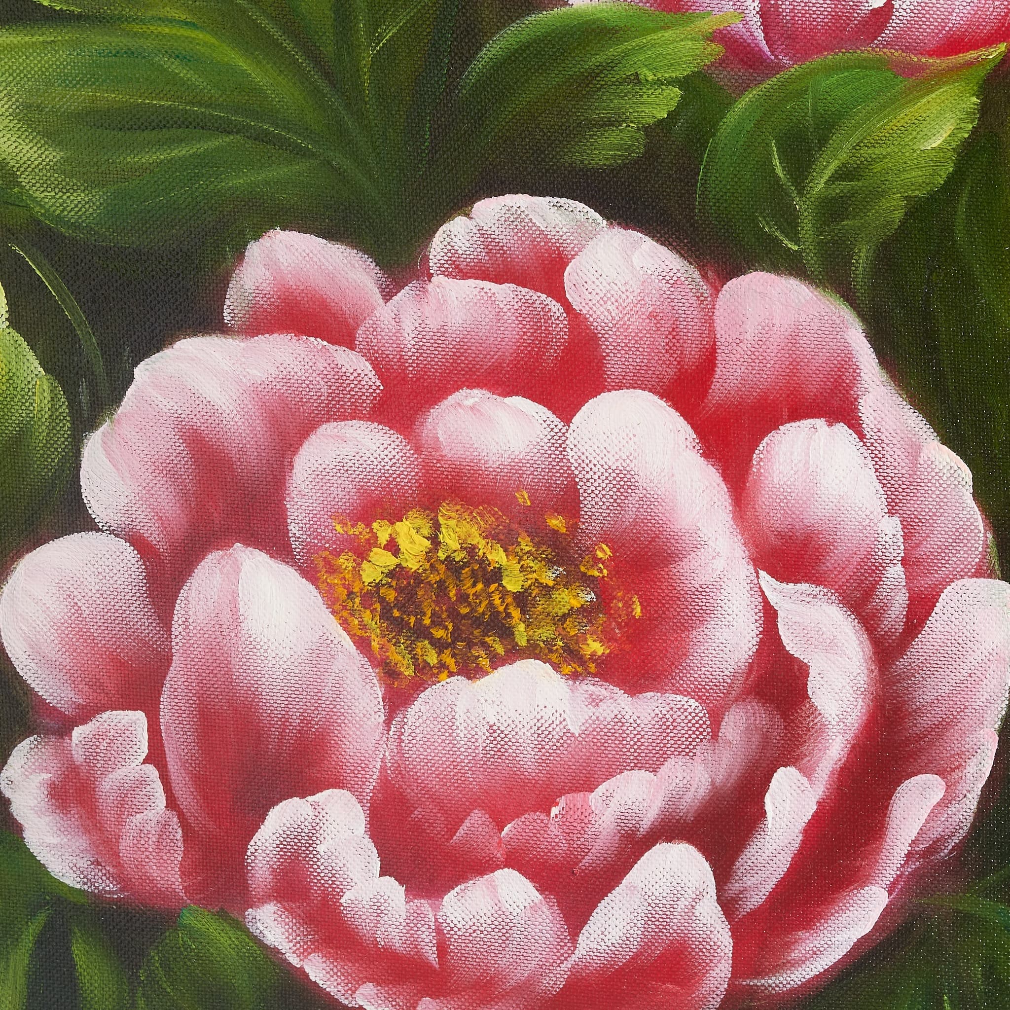 Pink Peonies Against Clear Blue Sky image 6