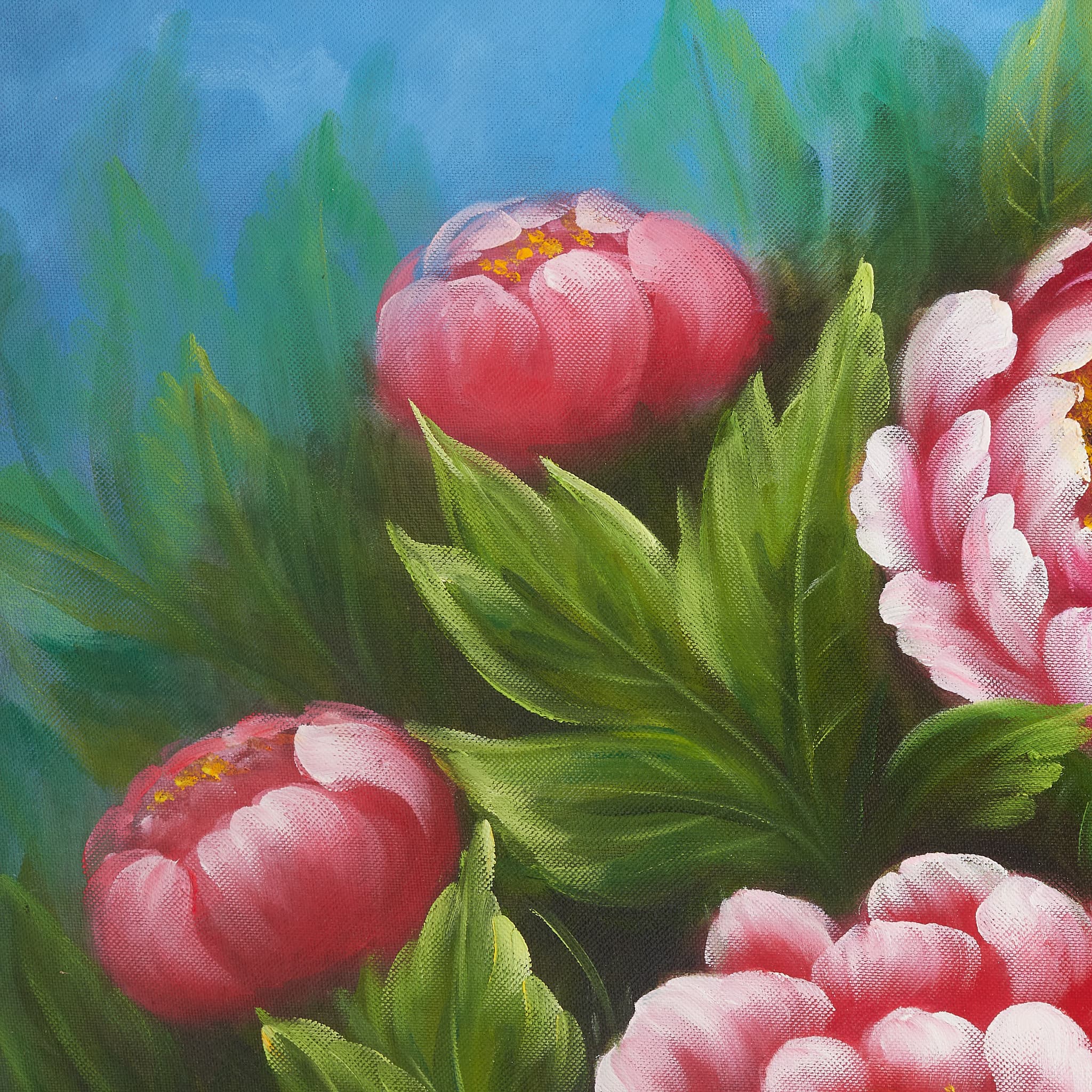 Pink Peonies Against Clear Blue Sky image 5