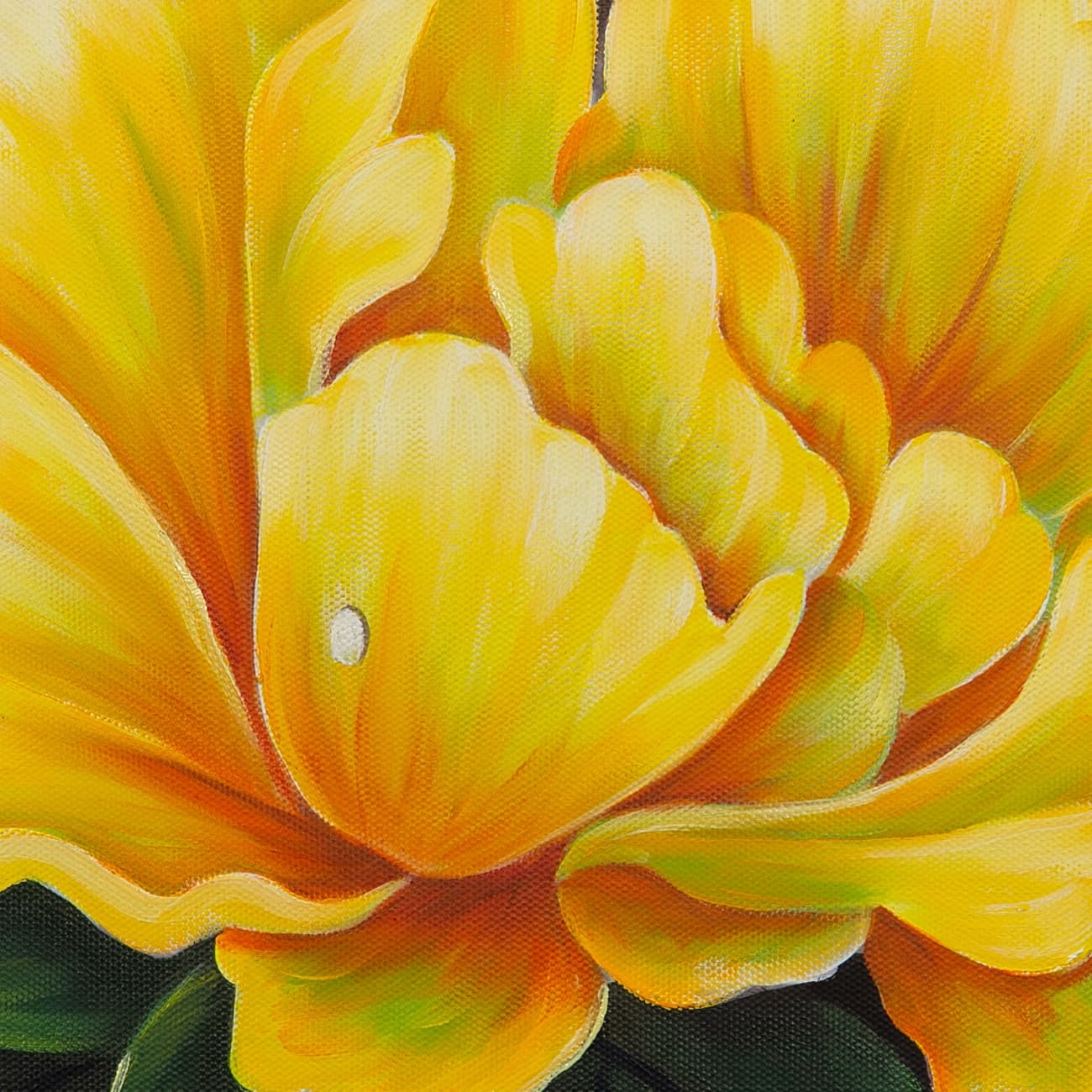 Golden Yellow Peonies on Dark Background image 2