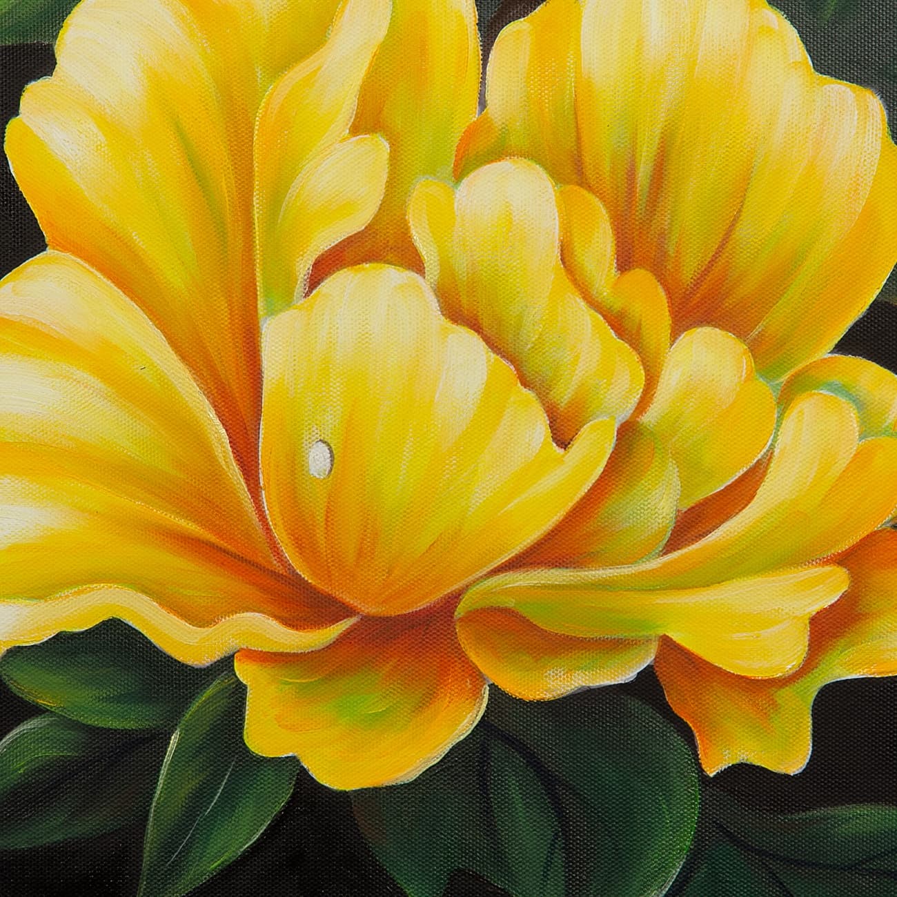 Golden Yellow Peonies on Dark Background image 6