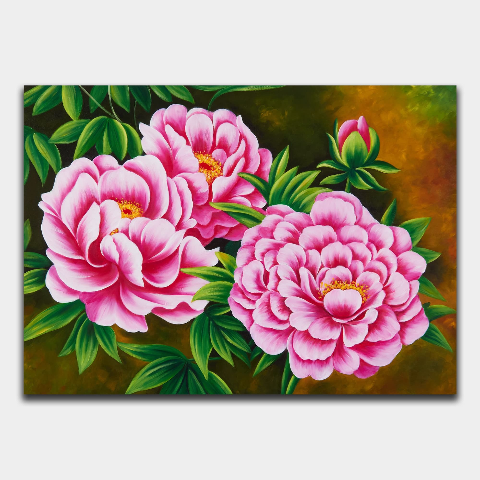 Pink Peonies with Bud on Dark Background