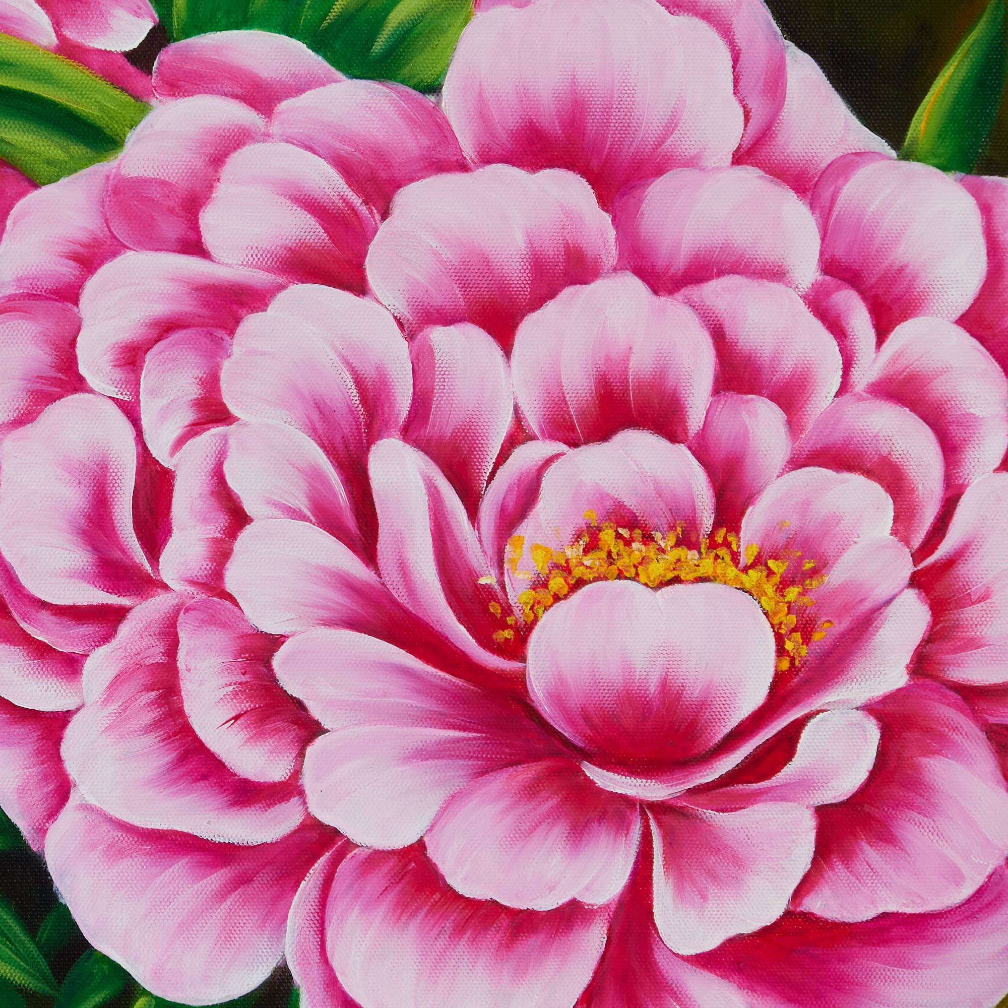 Pink Peonies with Bud on Dark Background image 4