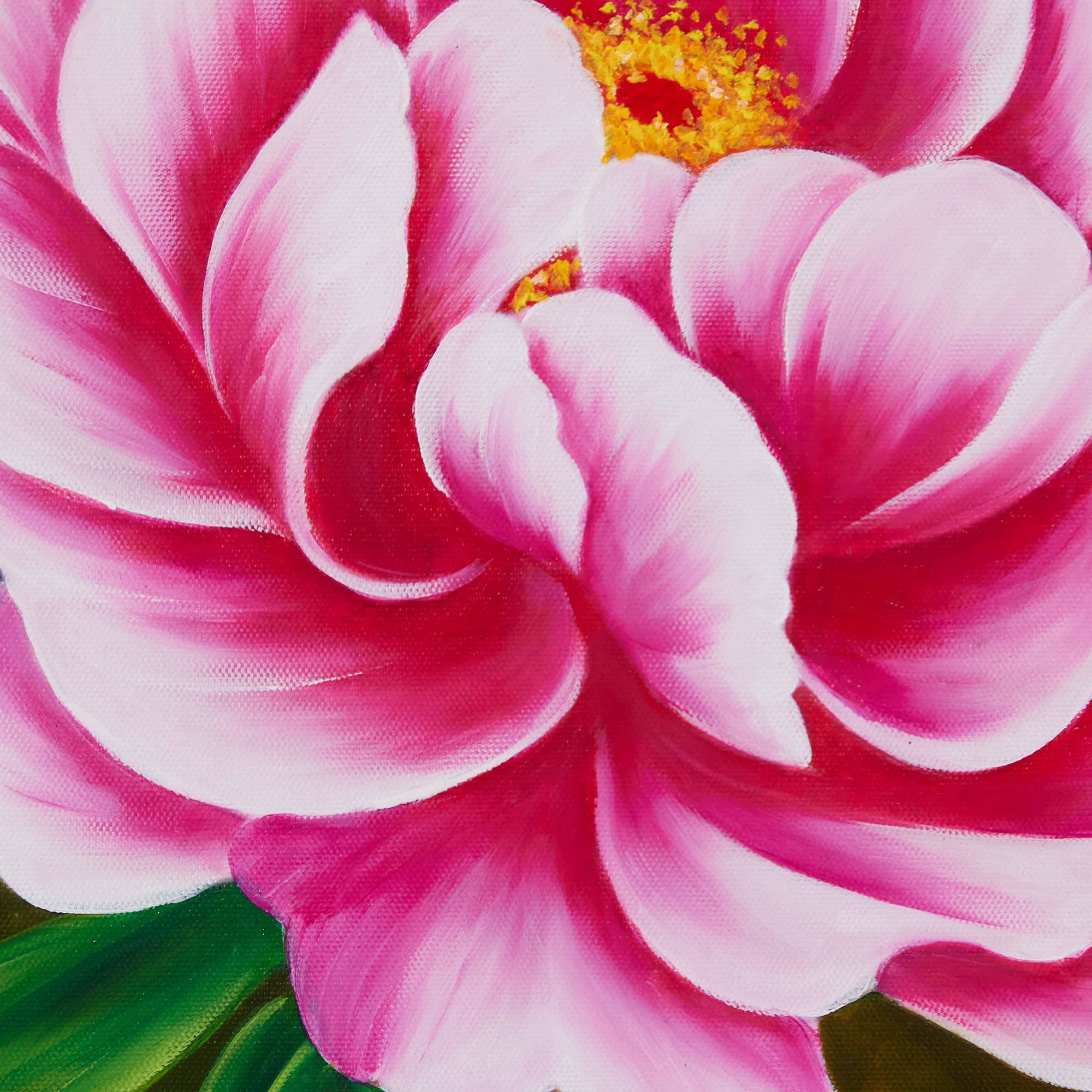 Pink Peonies with Bud on Dark Background image 5