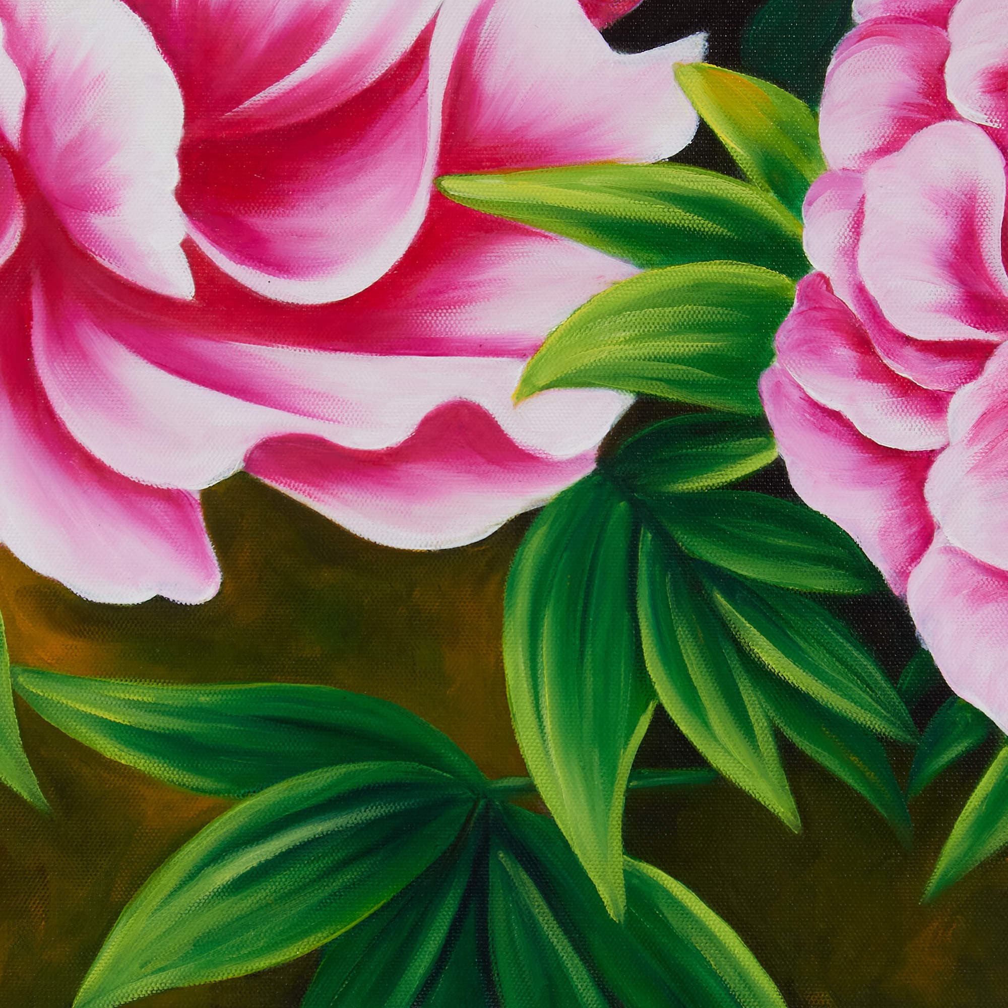 Pink Peonies with Bud on Dark Background image 6