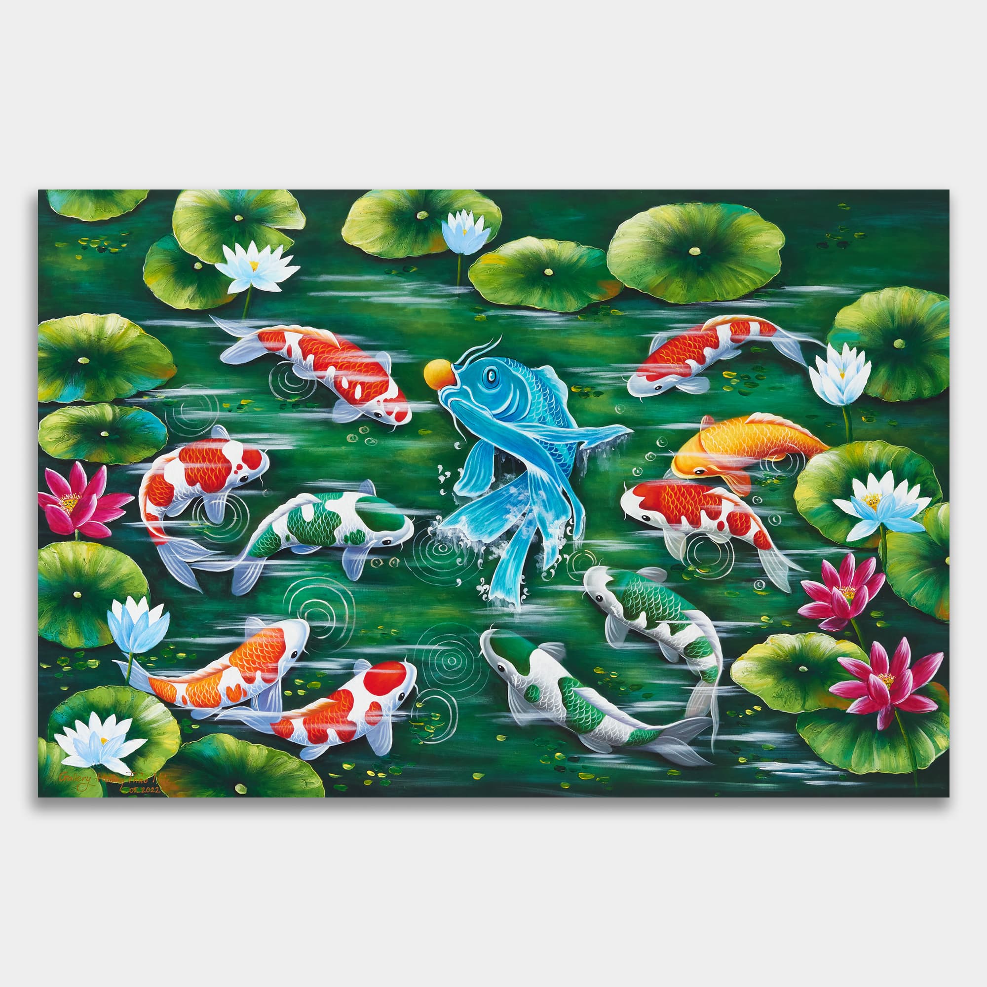 Colorful Koi Pond with Lotus Flowers