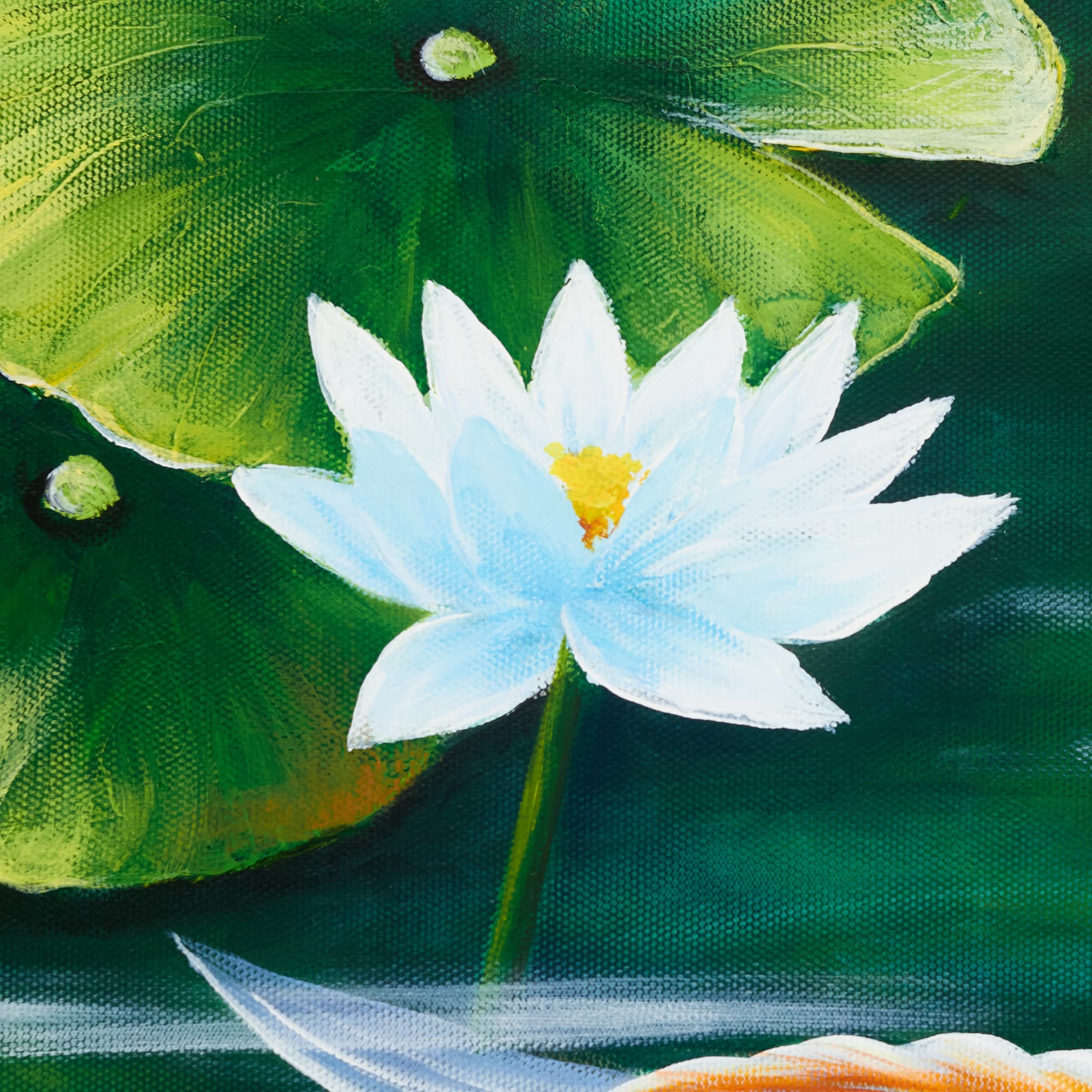 Colorful Koi Pond with Lotus Flowers image 5