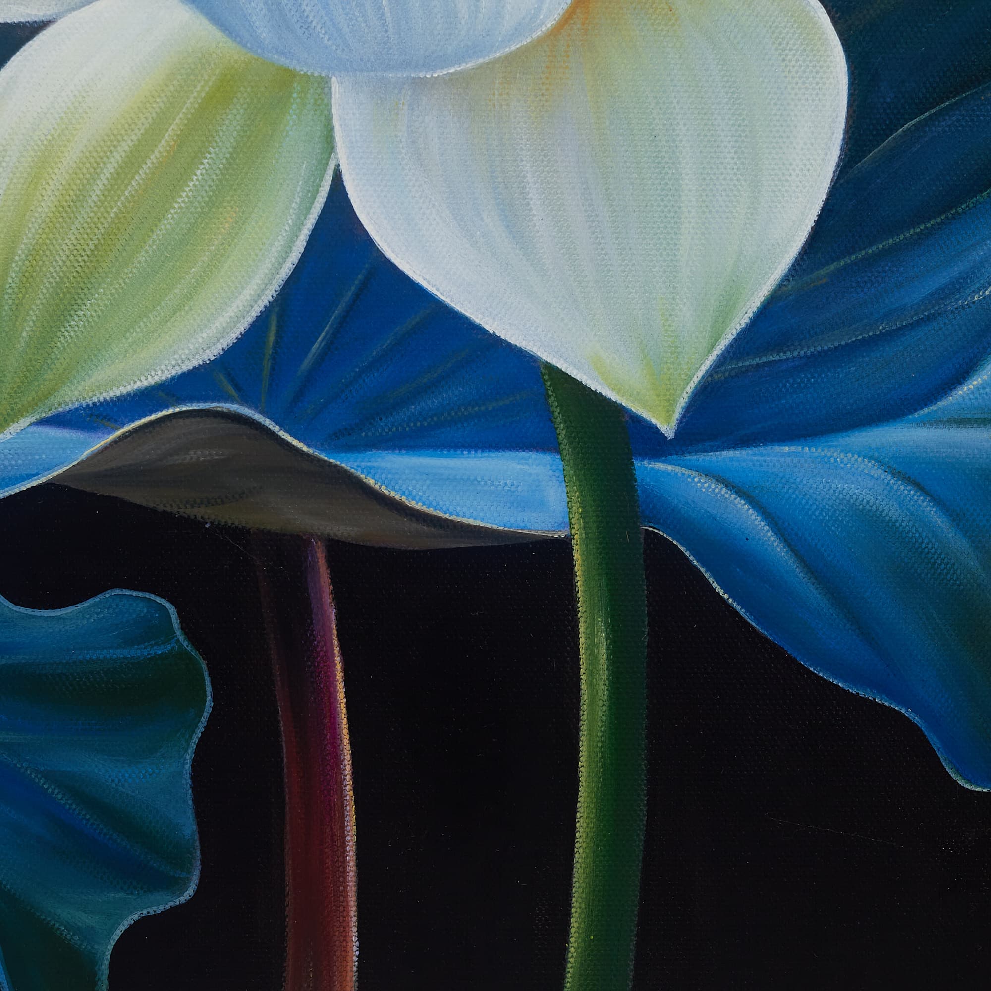 White Lotus with Blue Lily Pads image 8
