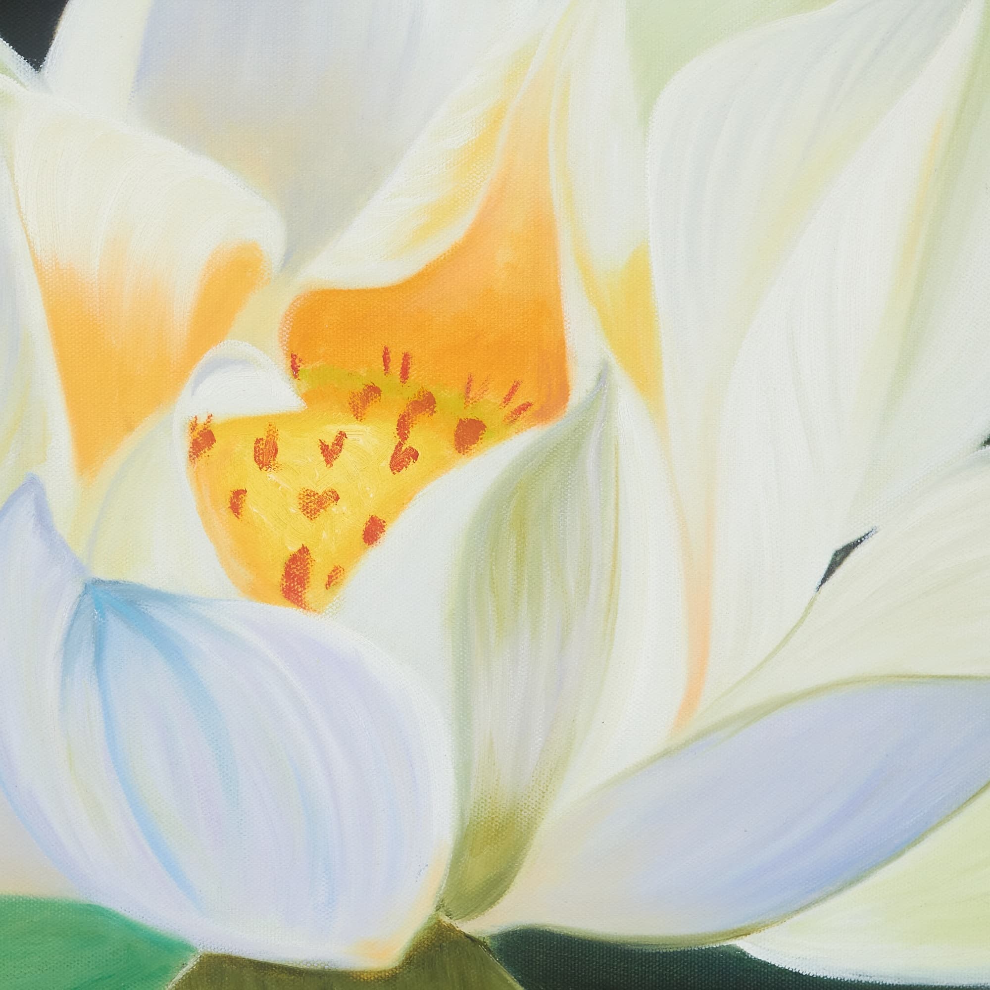 Single White Lotus in Full Bloom image 2