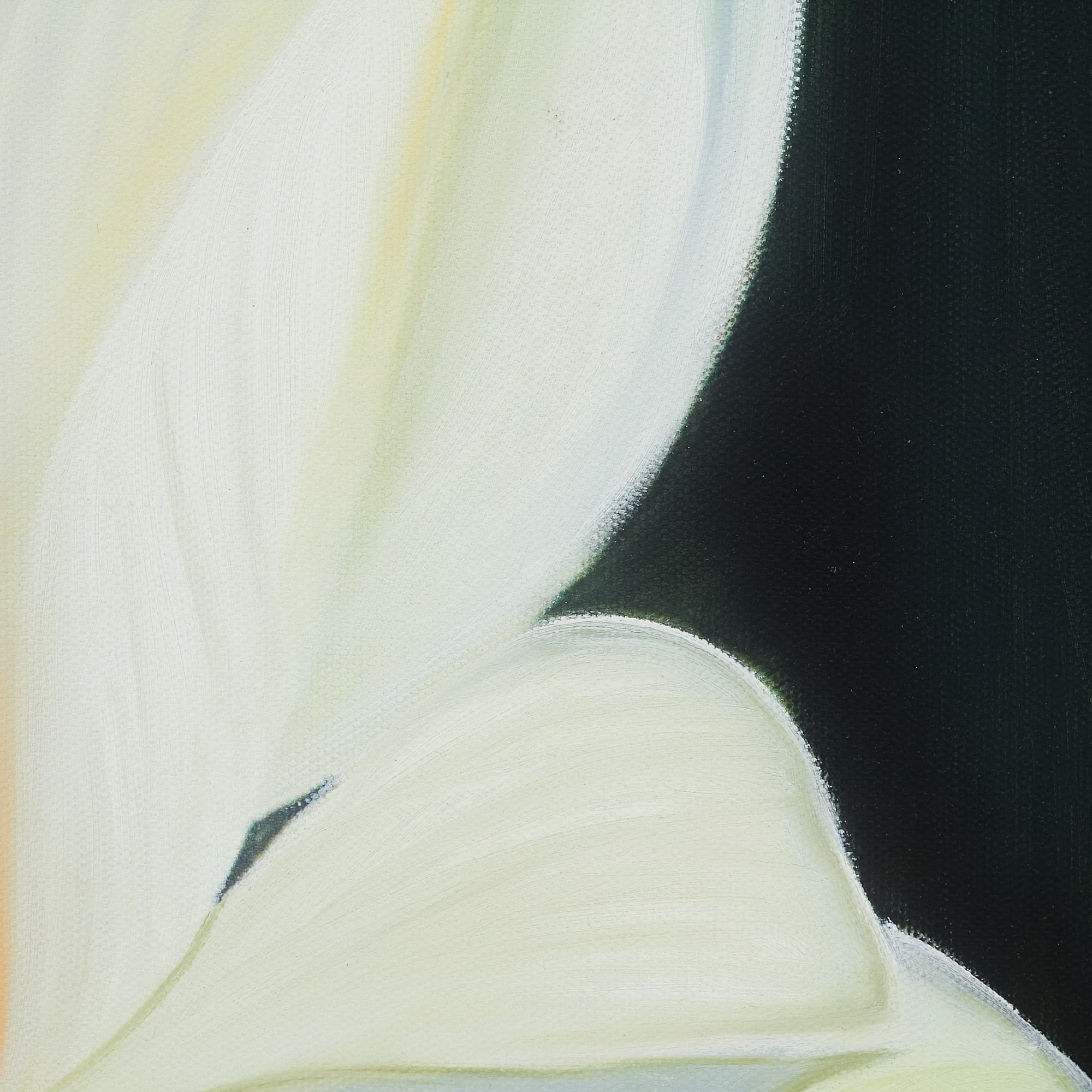 Single White Lotus in Full Bloom image 3